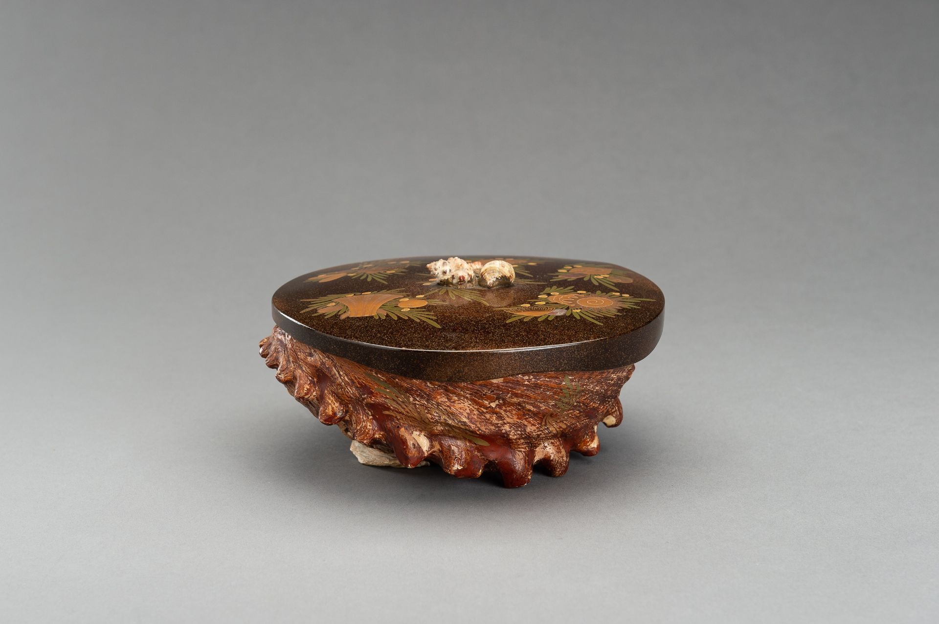 A UNIQUE AWABI SHELL WITH LACQUERED COVER - Image 5 of 14