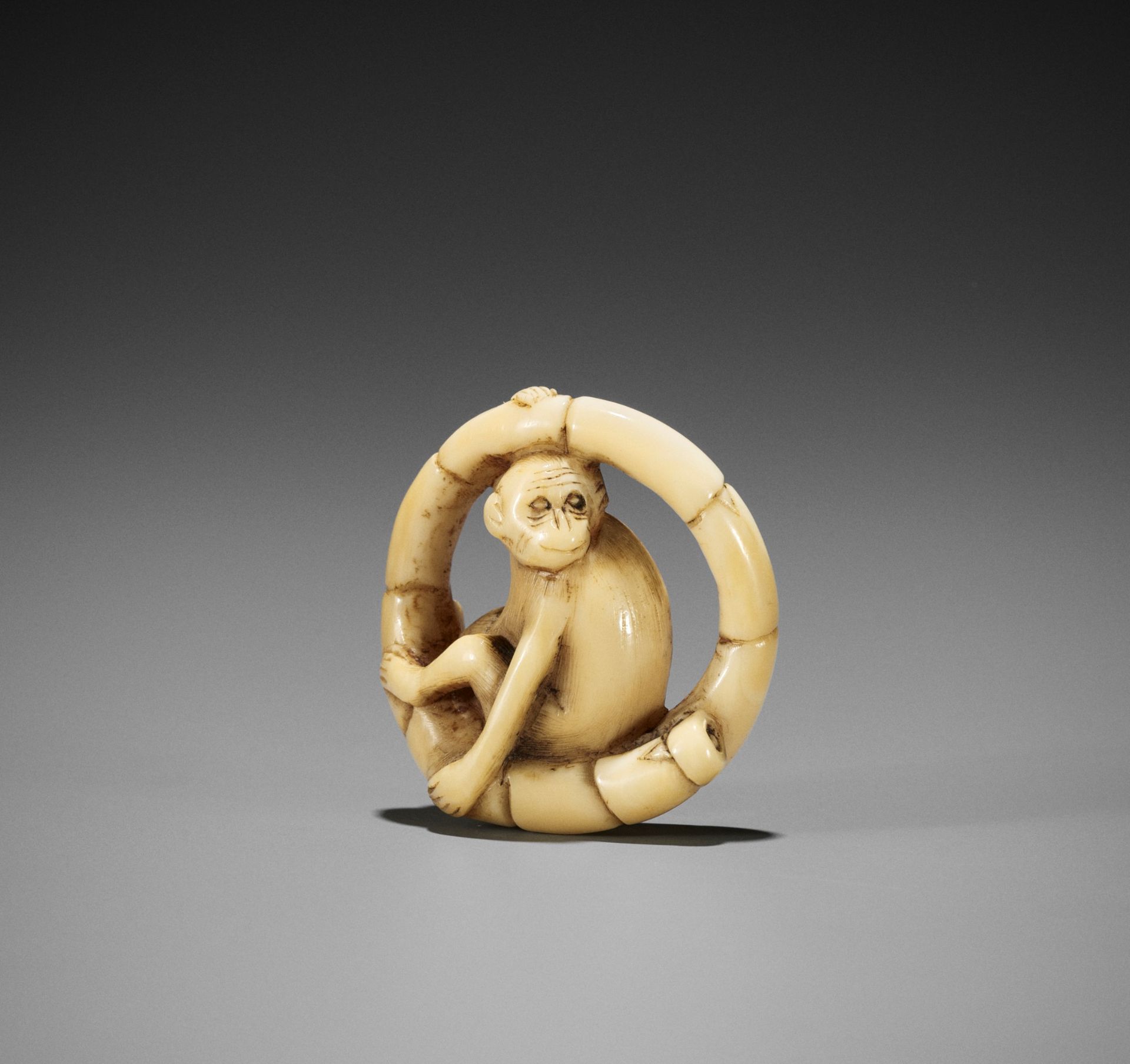 A MARINE IVORY NETSUKE OF A MONKEY SITTING IN A COILED BAMBOO NODE