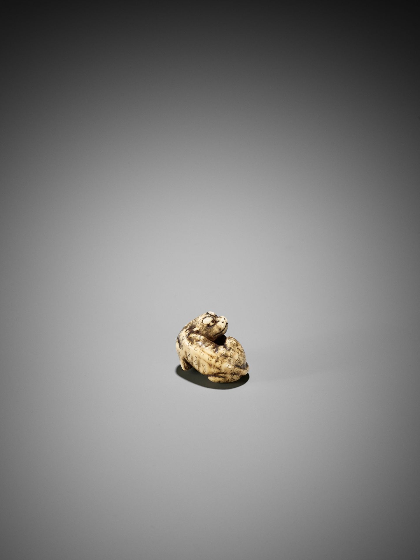 A GOOD KYOTO SCHOOL IVORY NETSUKE OF A TIGER - Image 12 of 15