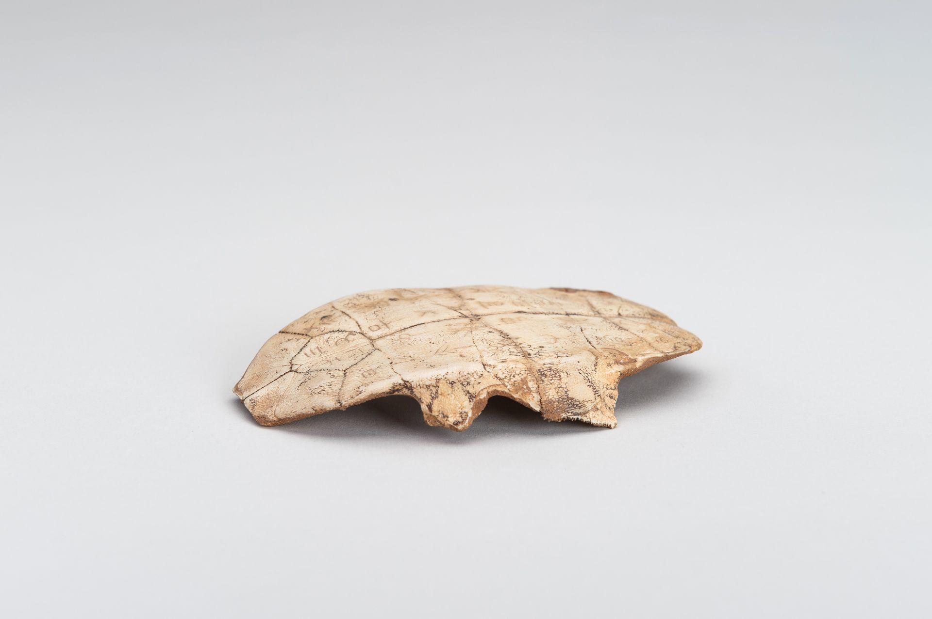 AN INSCRIBED SHANG DYNASTY 'ORACLE BONE' TURTLE PLASTRON, JIAGUWEN - Bild 3 aus 9