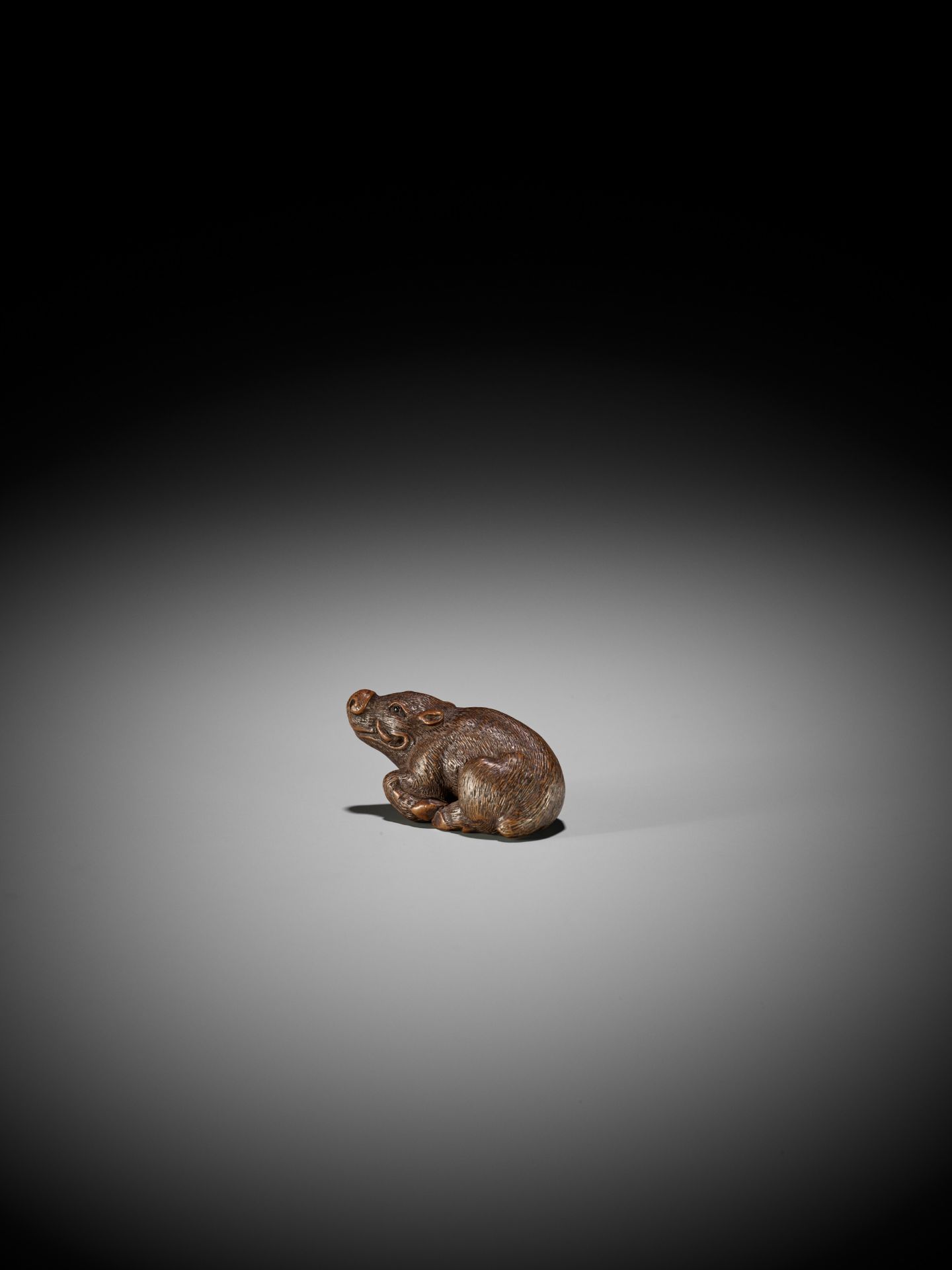 KOKEI: A FINE WOOD NETSUKE OF A RECUMBENT BOAR - Image 8 of 14