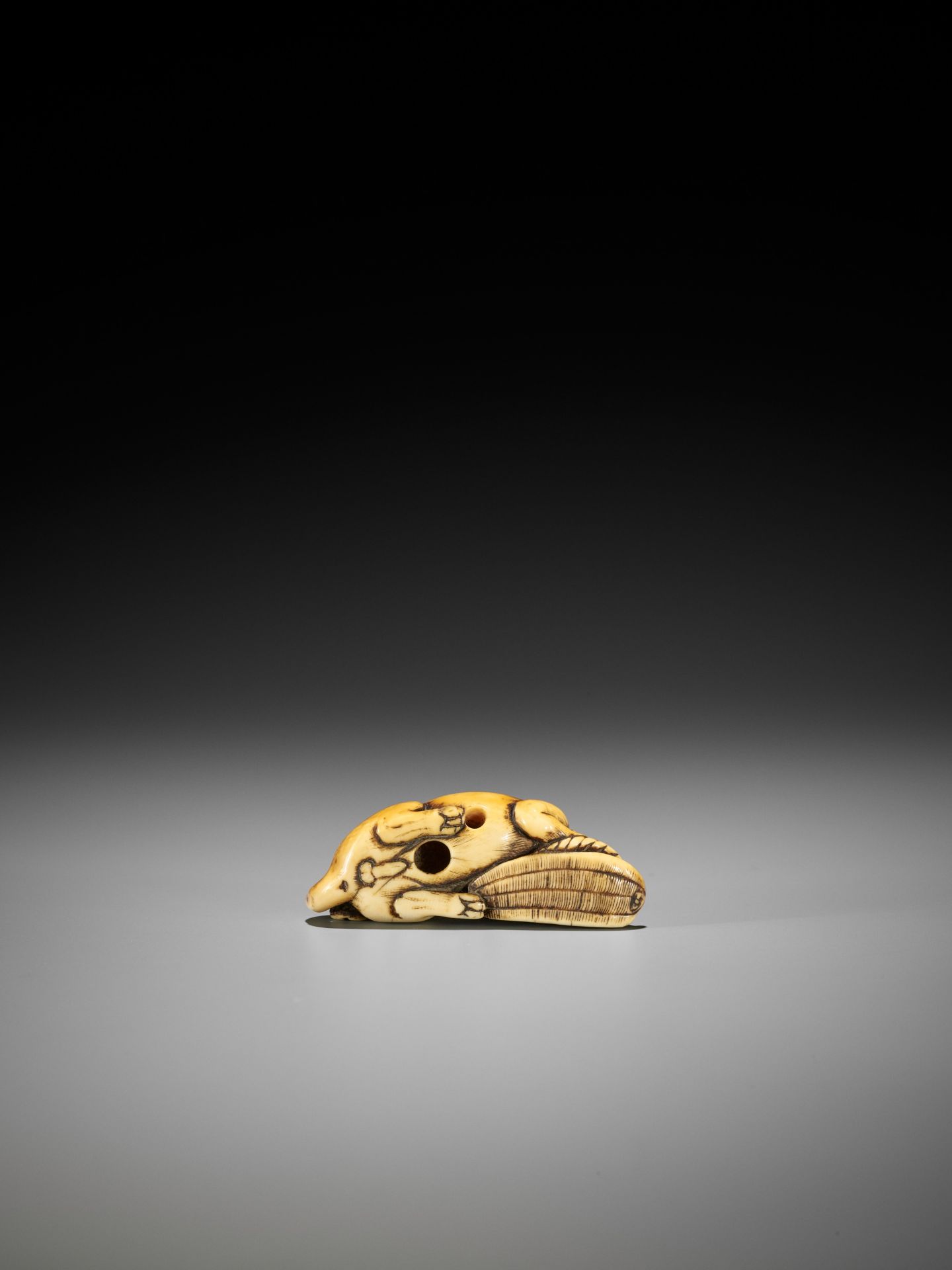 A SUPERB IVORY NETSUKE OF A DOG WITH SANDAL - Bild 11 aus 12