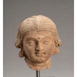 A TERRACOTTA HEAD OF A FEMALE BODHISATTVA, GANDHARA