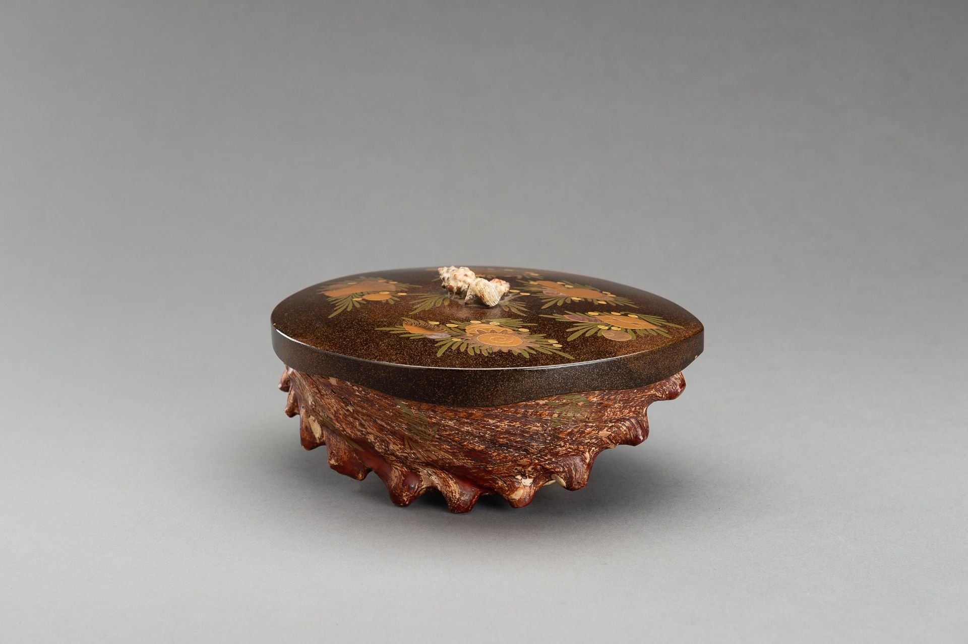 A UNIQUE AWABI SHELL WITH LACQUERED COVER - Image 11 of 14