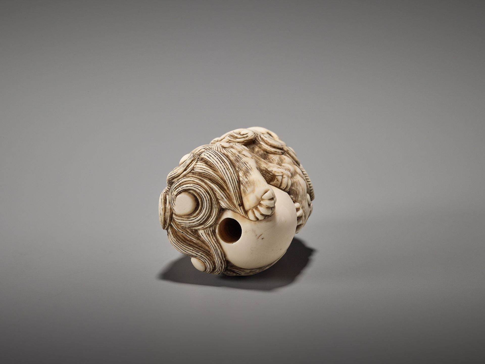 A GOOD IVORY NETSUKE OF A POWERFUL SHISHI ATTRIBUTED TO MITSUHARU - Image 7 of 8