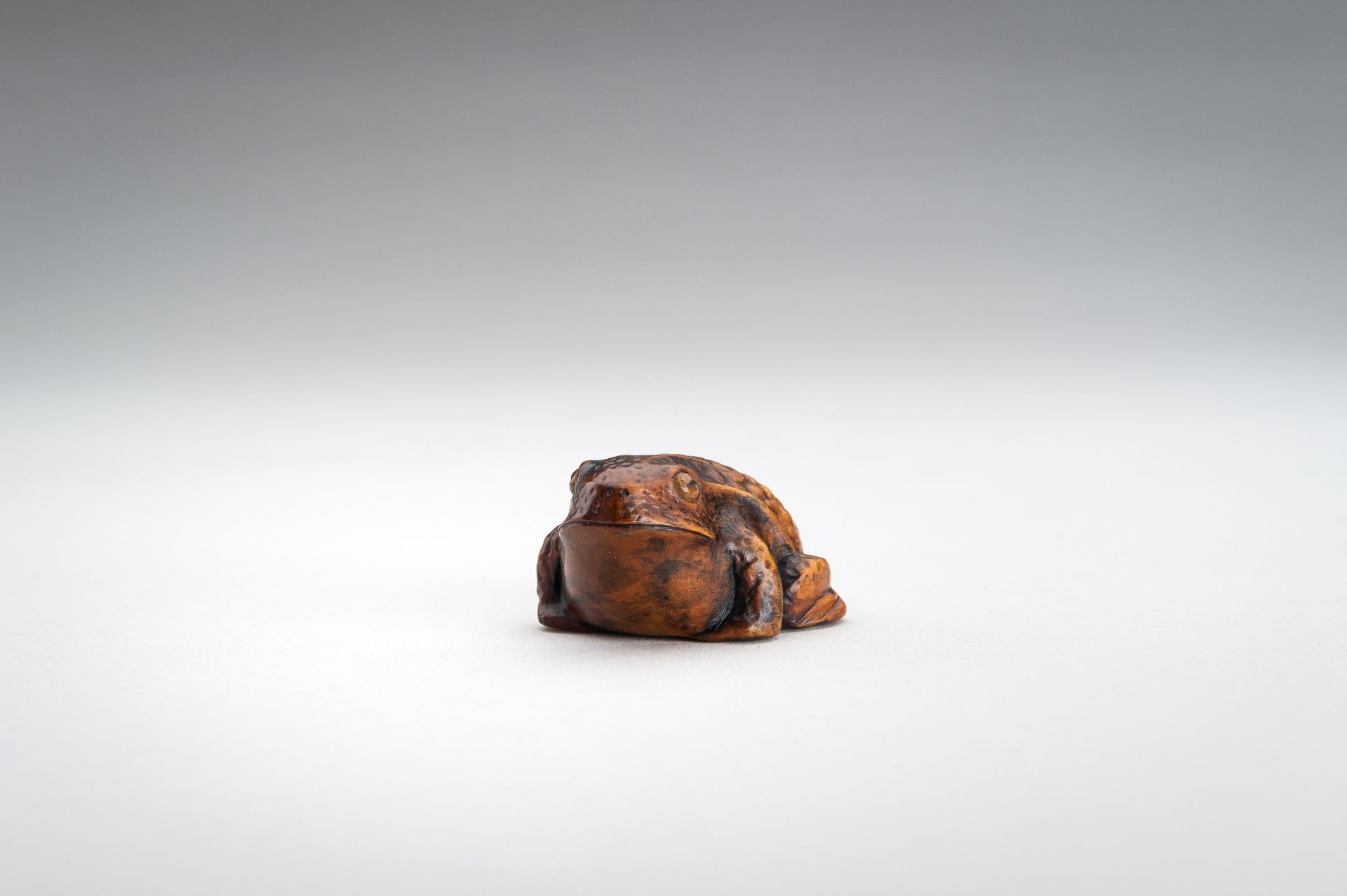 A BOXWOOD NETSUKE OF A FROG - Image 10 of 12