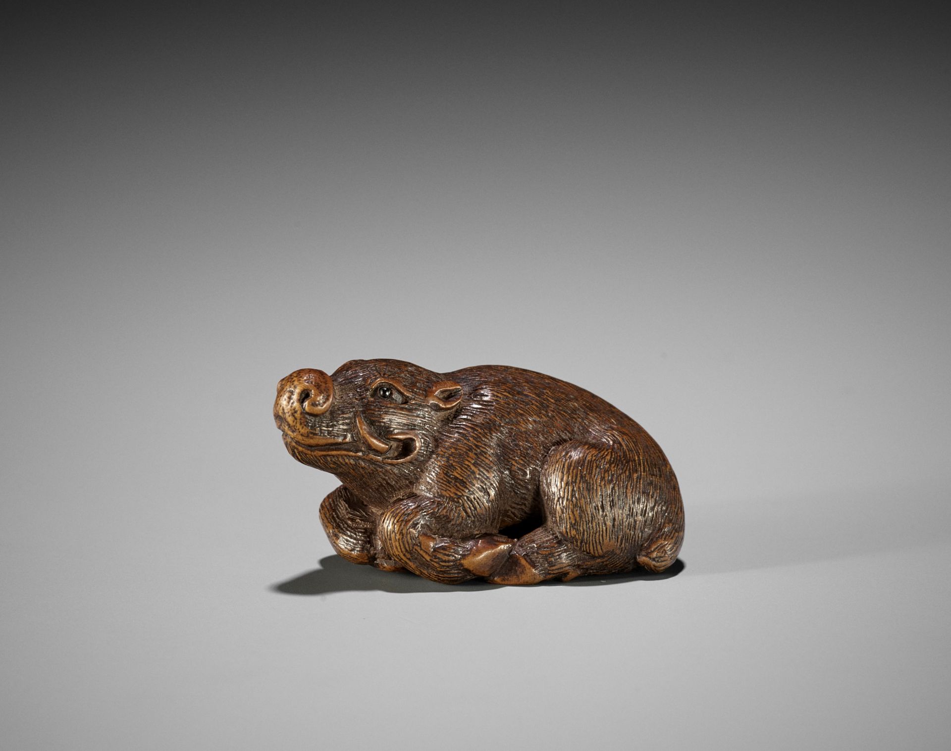 KOKEI: A FINE WOOD NETSUKE OF A RECUMBENT BOAR