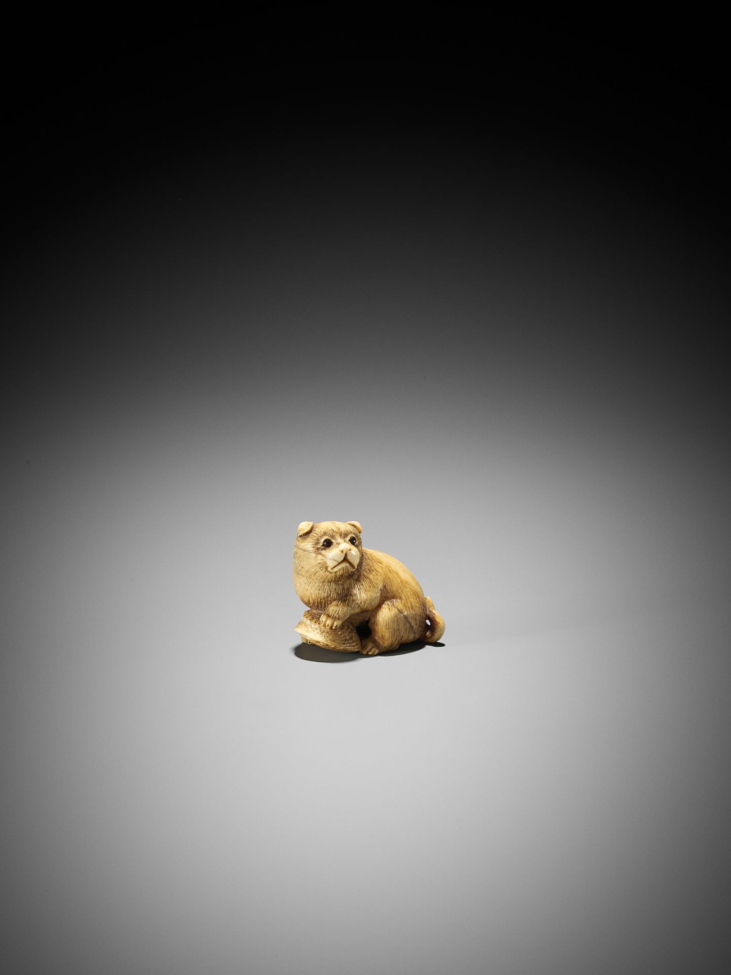 A GOOD KYOTO SCHOOL IVORY NETSUKE OF A PUPPY WITH AWABI - Image 7 of 9