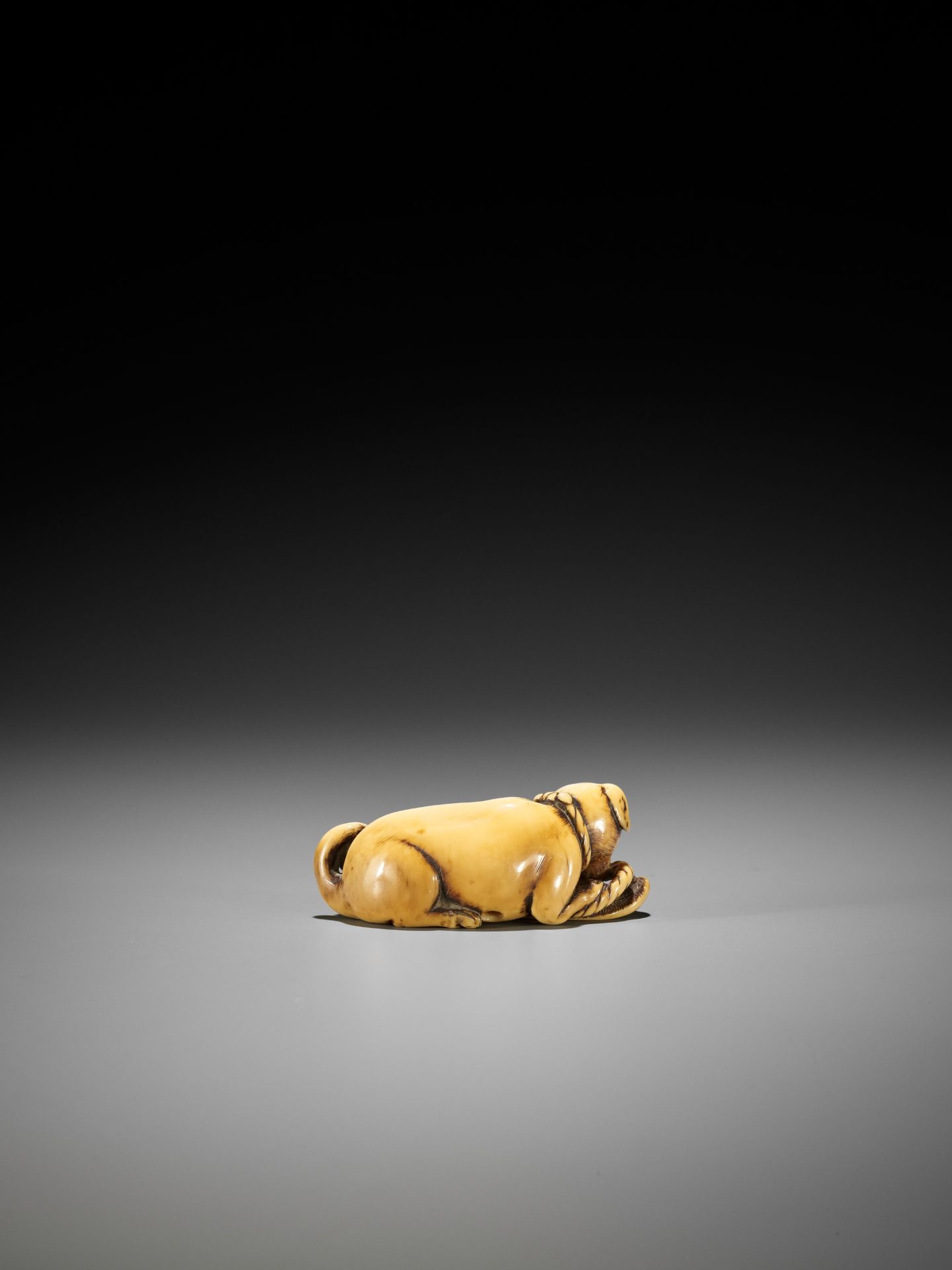 A SUPERB IVORY NETSUKE OF A DOG WITH SANDAL - Bild 10 aus 12