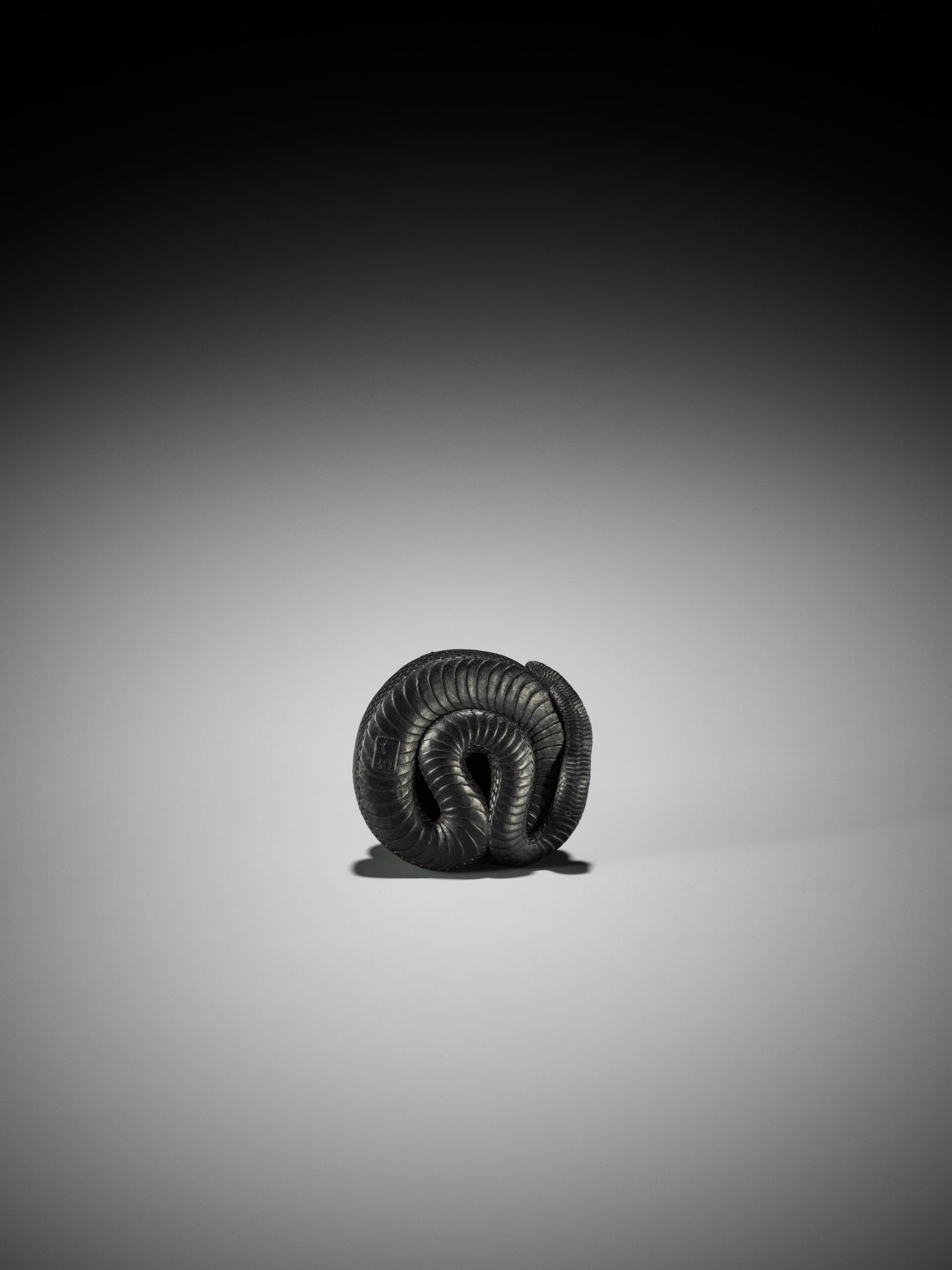 VADYM PYVOVAR: AN EBONY NETSUKE OF A COILED SNAKE AFTER MATSUDA SUKENAGA - Bild 11 aus 12