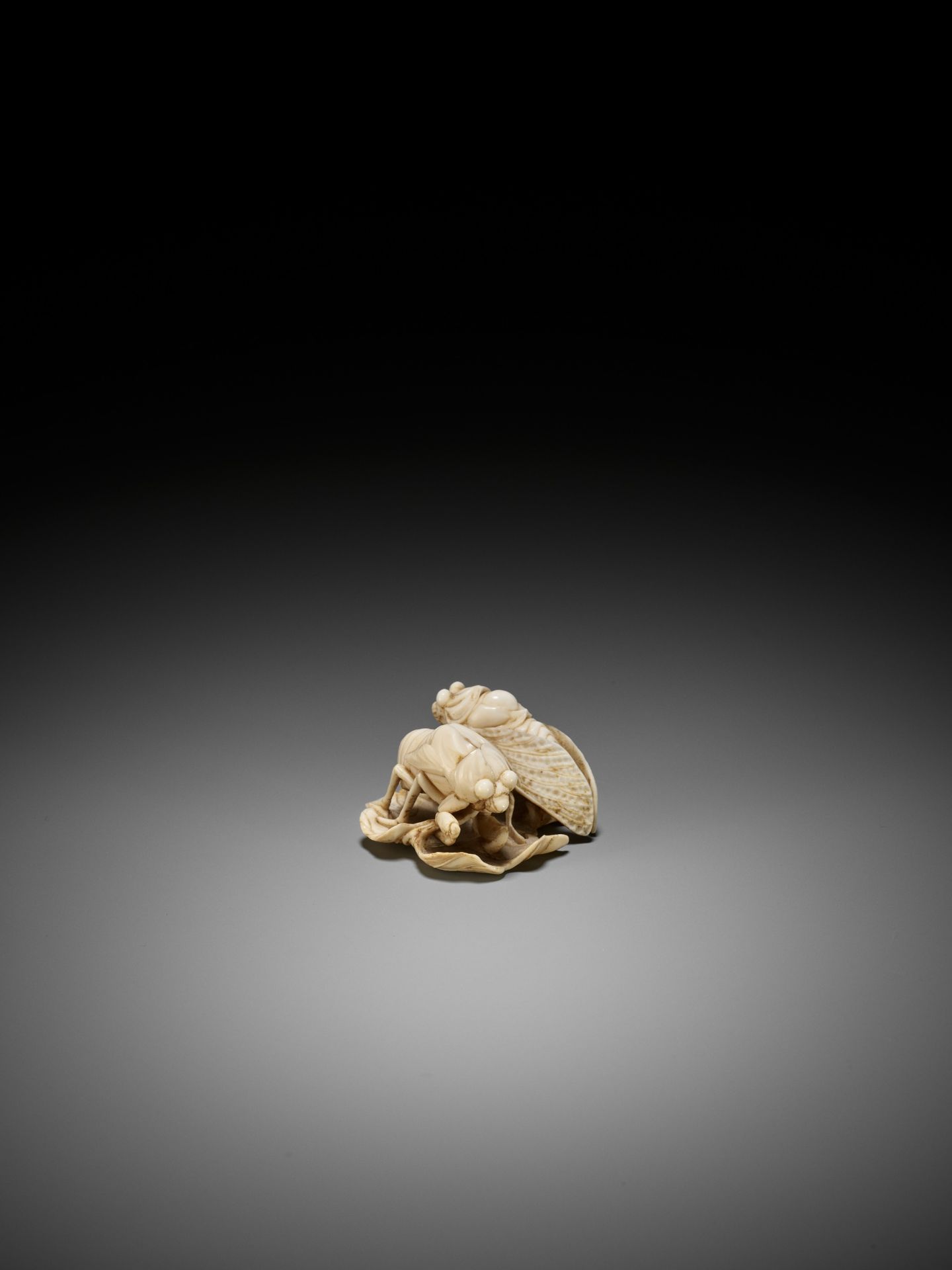 A FINE IVORY NETSUKE OF TWO CICADA HATCHLINGS ON A LEAF - Image 6 of 9