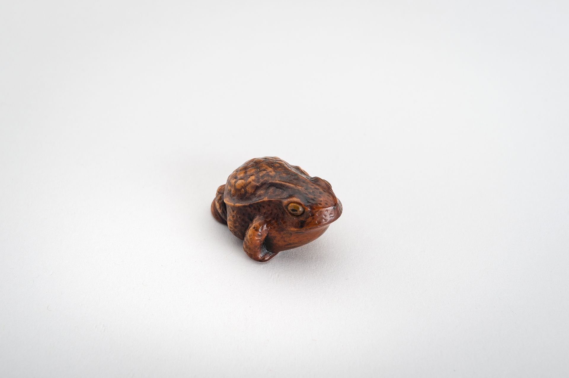 A BOXWOOD NETSUKE OF A FROG - Image 8 of 12