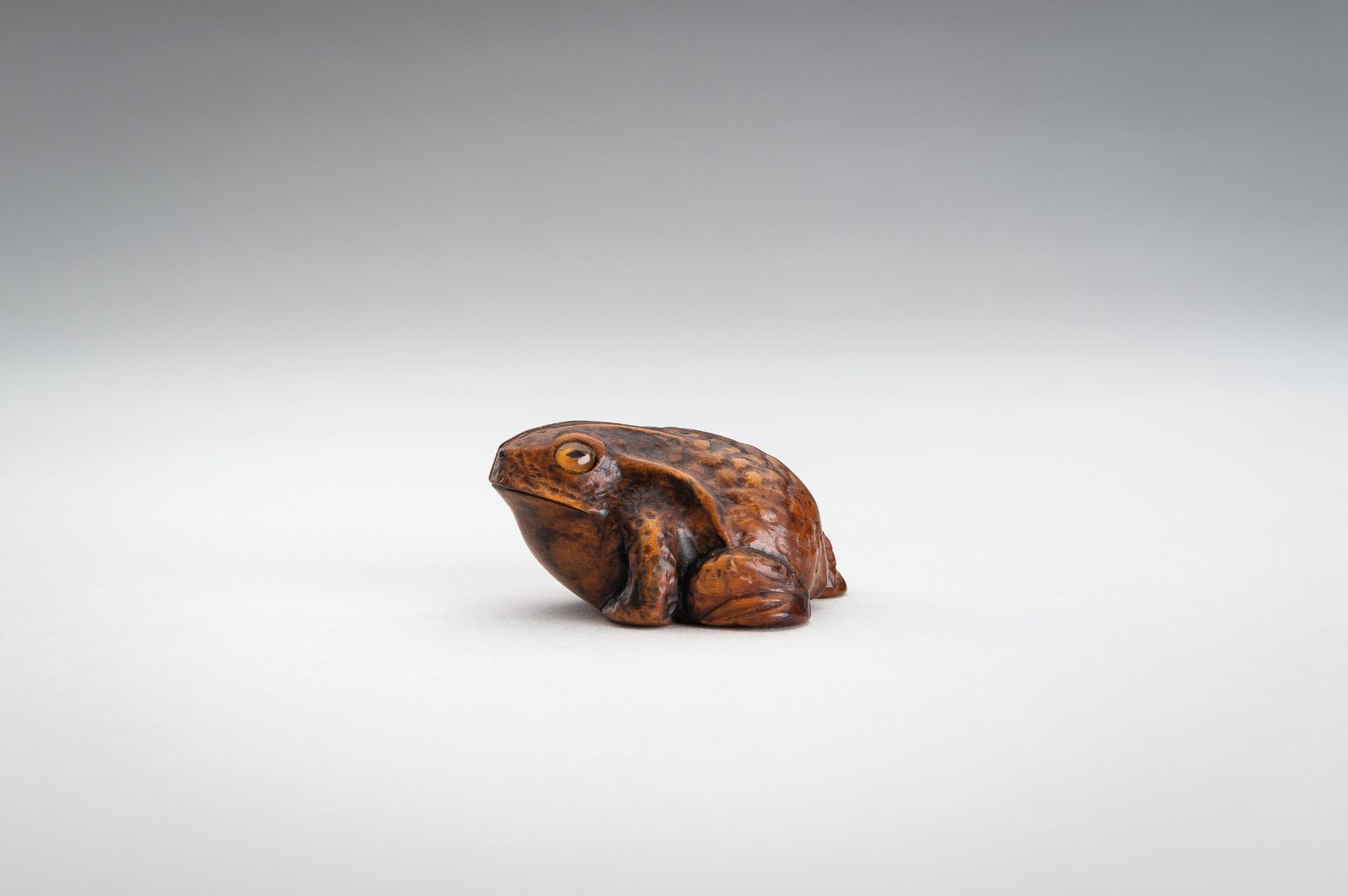 A BOXWOOD NETSUKE OF A FROG - Image 3 of 12