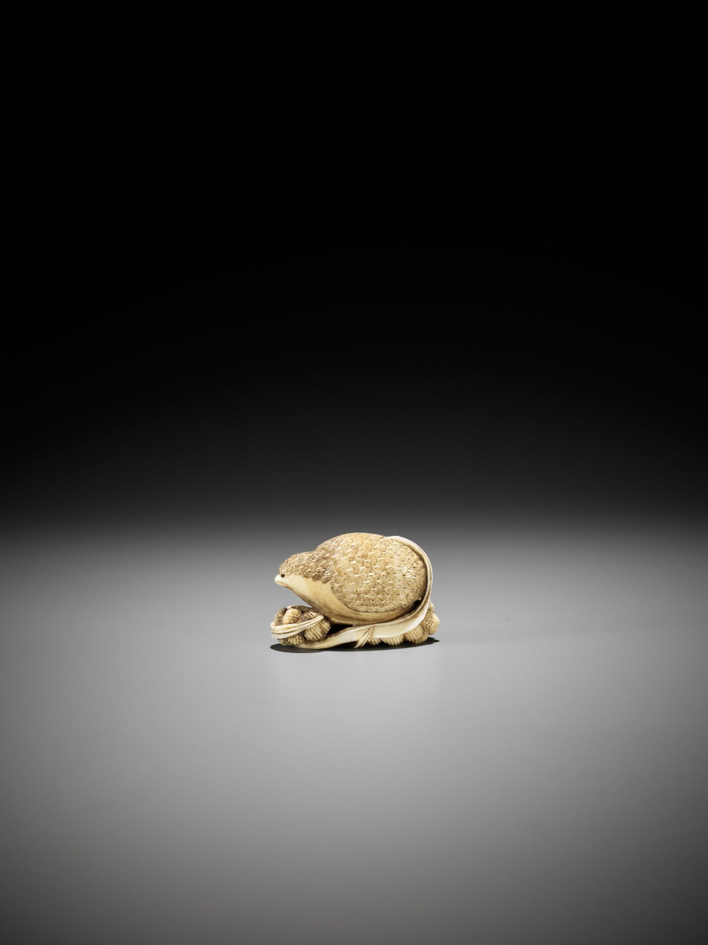 YOSHIKAZU: AN IVORY NETSUKE OF A QUIAL PERCHED ON MILLET - Image 7 of 14