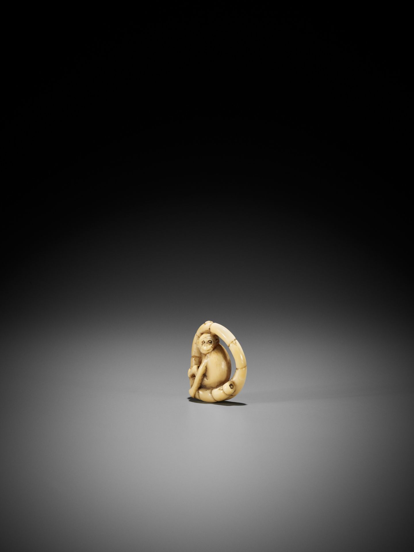 A MARINE IVORY NETSUKE OF A MONKEY SITTING IN A COILED BAMBOO NODE - Image 3 of 9