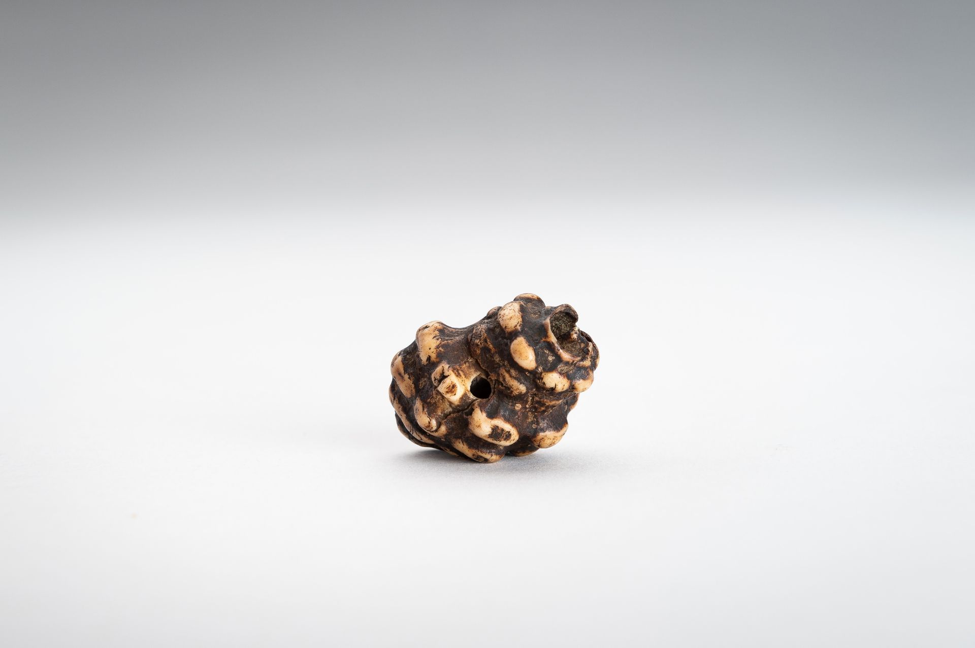 A STAG ANTLER NETSUKE OF A HORAGAI - Image 8 of 11