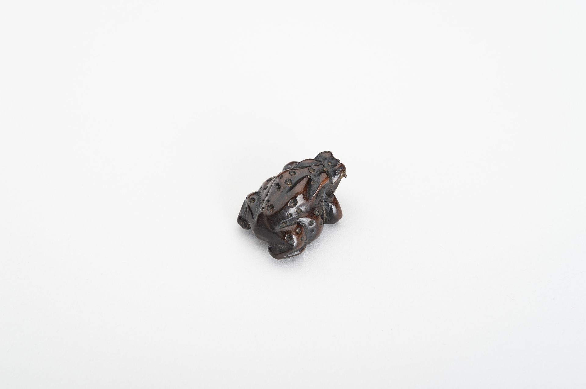 A WOOD NETSUKE OF A TOAD, MEIJI - Image 10 of 13