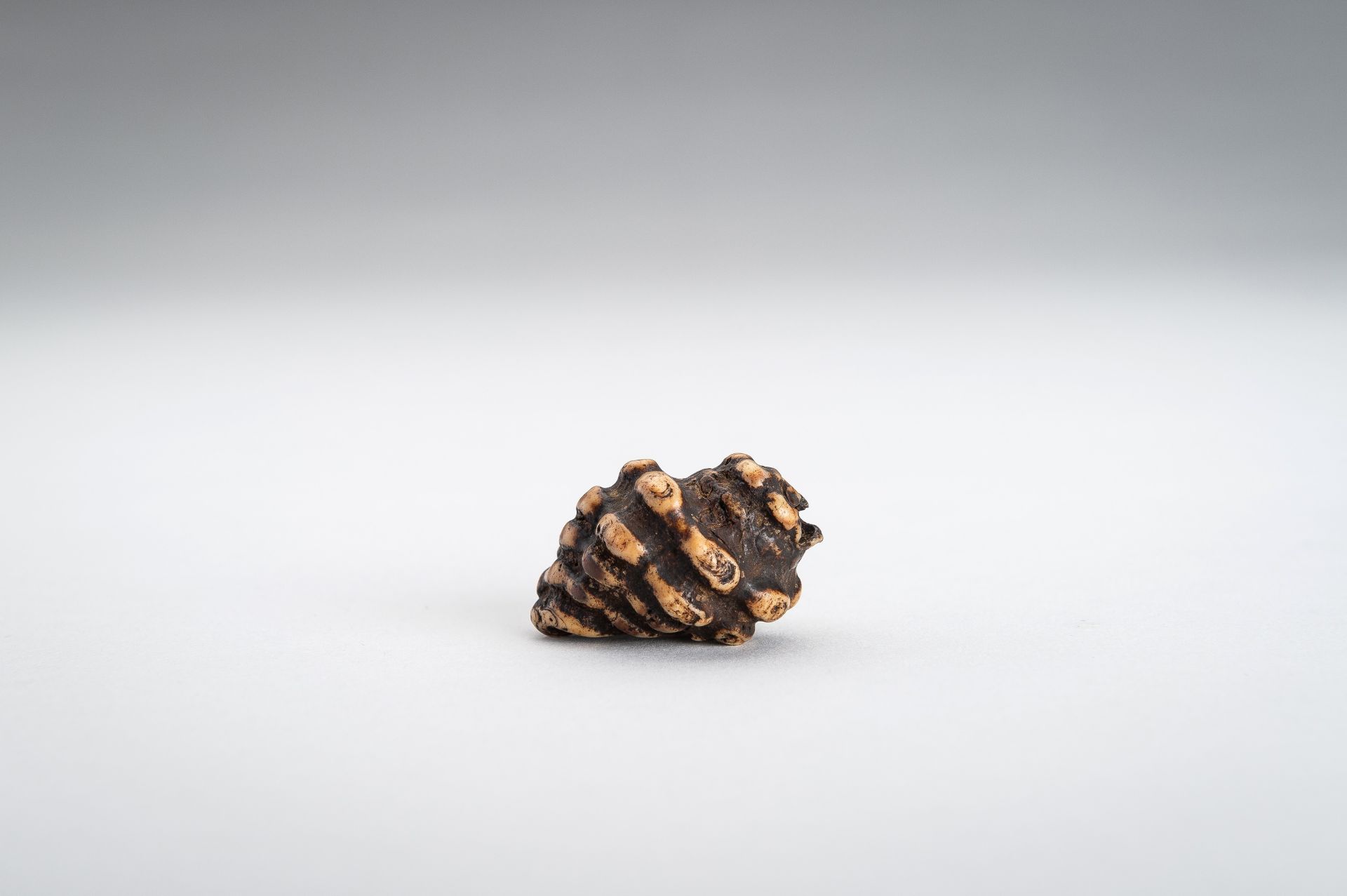 A STAG ANTLER NETSUKE OF A HORAGAI - Image 3 of 11