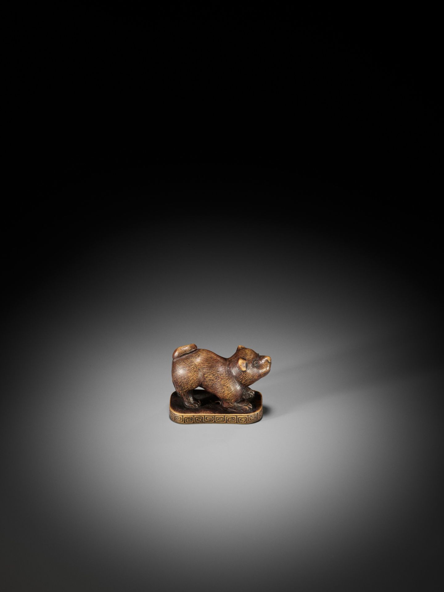 TOSEI: A CHARMING WOOD NETSUKE OF A PUPPY - Image 9 of 11