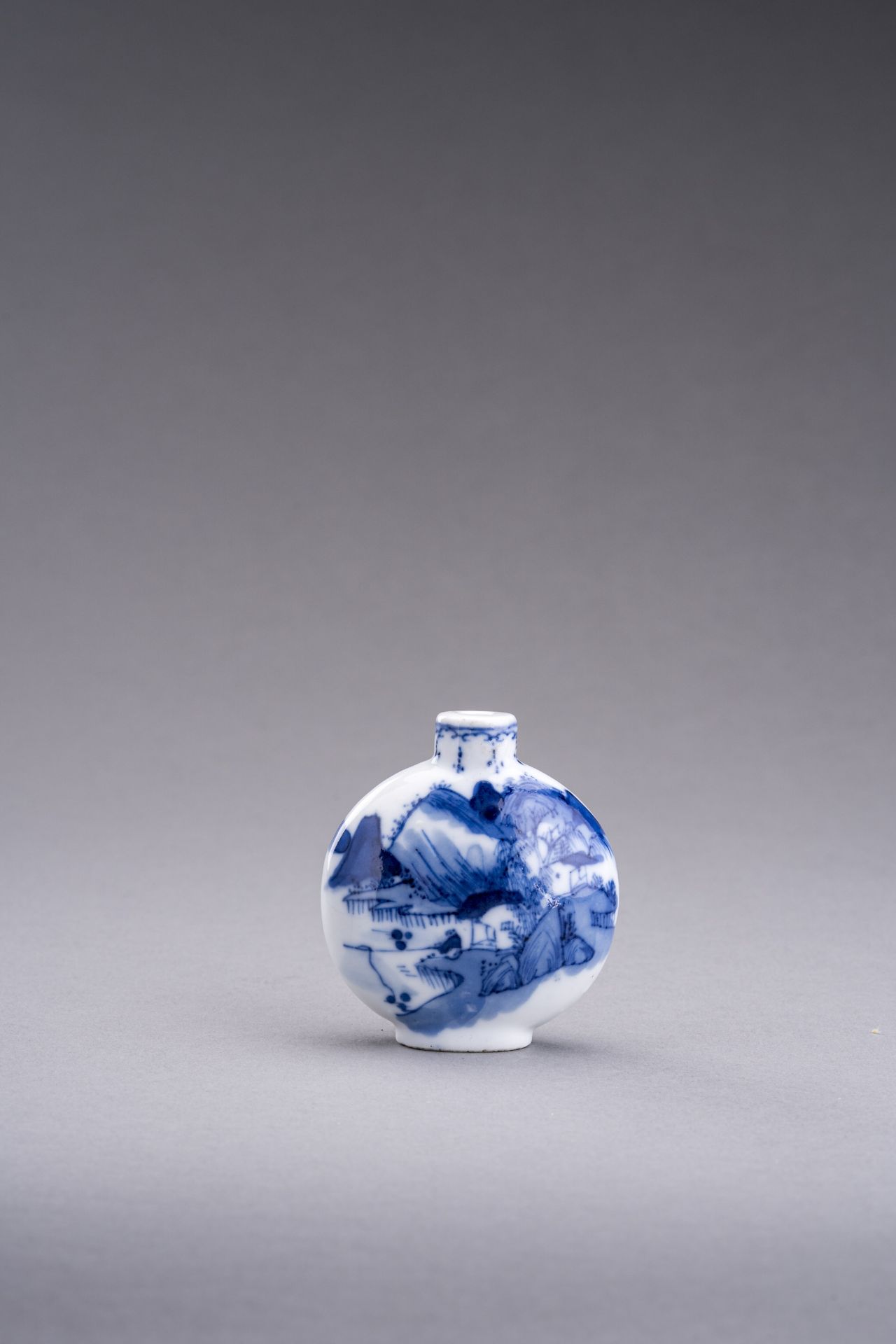 TWO BLUE AND WHITE PORCELAIN SNUFF BOTTLES, QING DYNASTY - Image 8 of 13