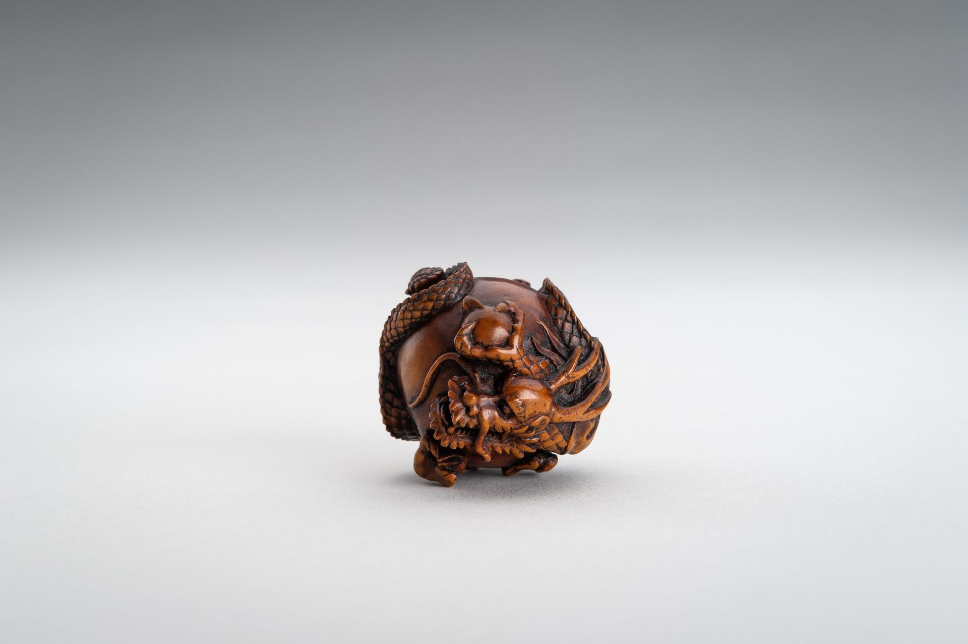 TOMOMASA: A BOXWOOD NETSUKE OF A COILED DRAGON - Image 8 of 15