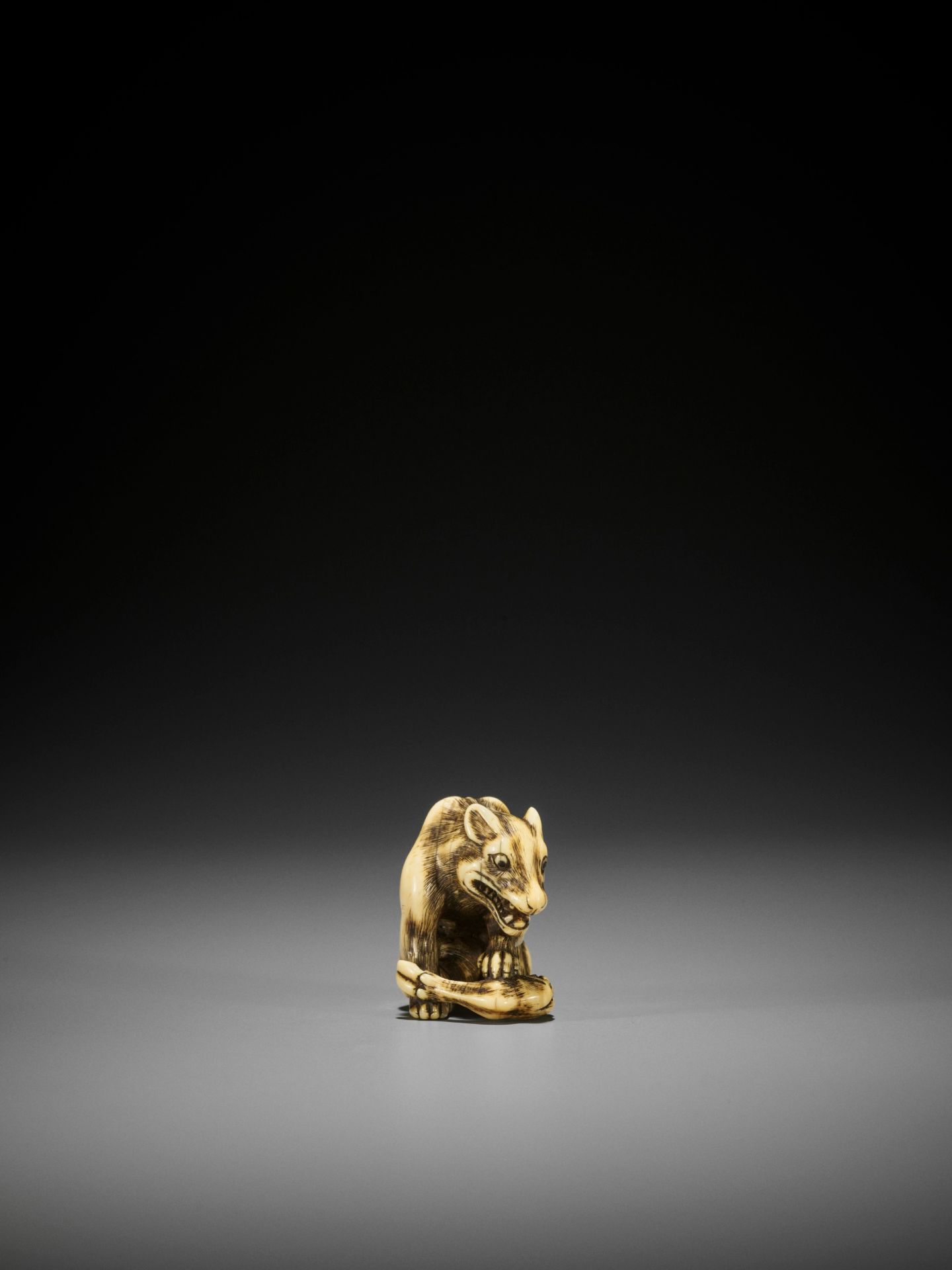 TOMOTADA: A FINE IVORY NETSUKE OF A WOLF WITH HAUNCH OF VENISON - Image 10 of 18