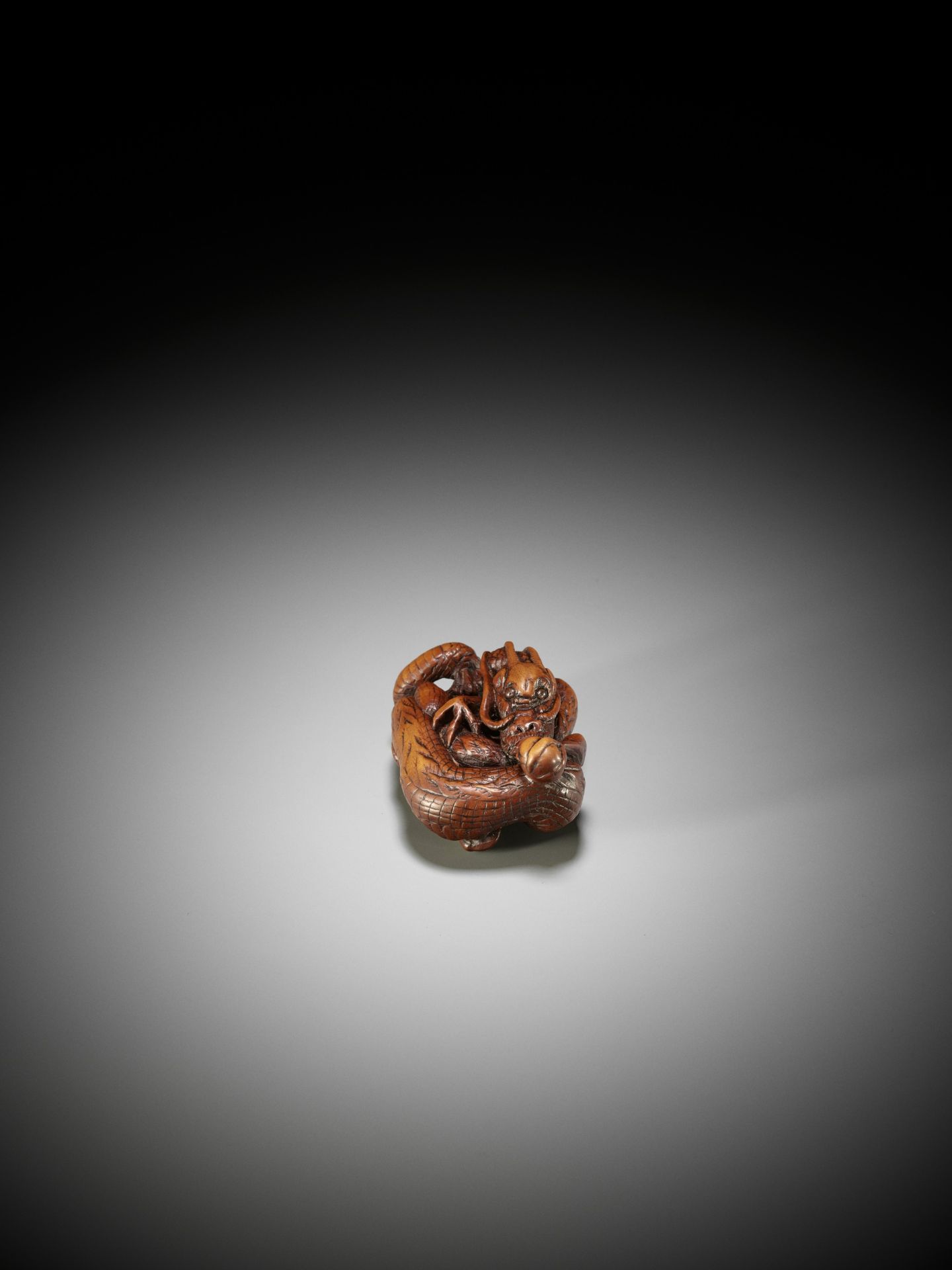 A SUPERB WOOD NETSUKE OF A COILED DRAGON - Image 7 of 14