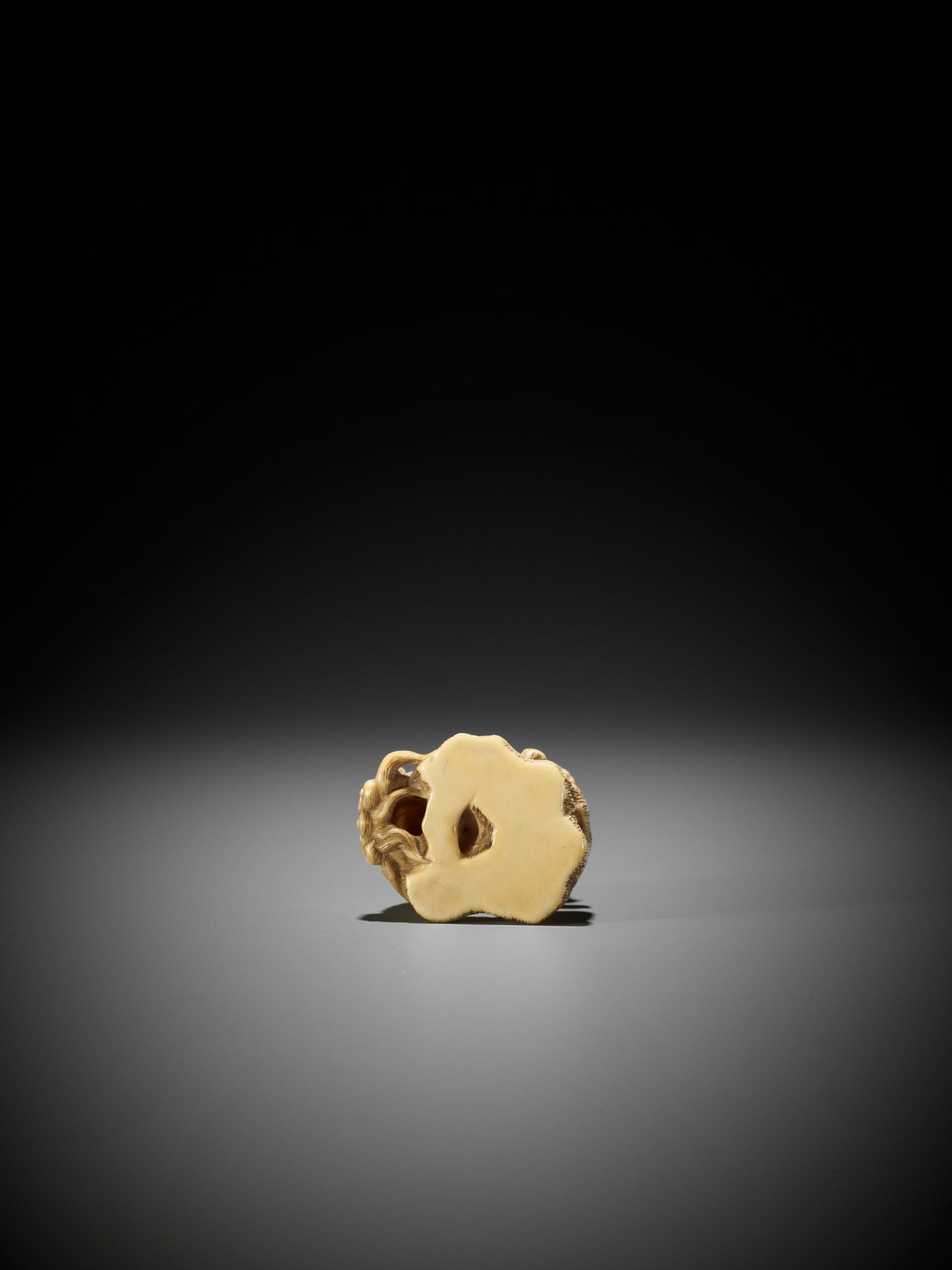 A SUPERB IVORY NETSUKE OF A ROARING SHISHI WITH ROCK AND LOOSE BALL - Image 12 of 14