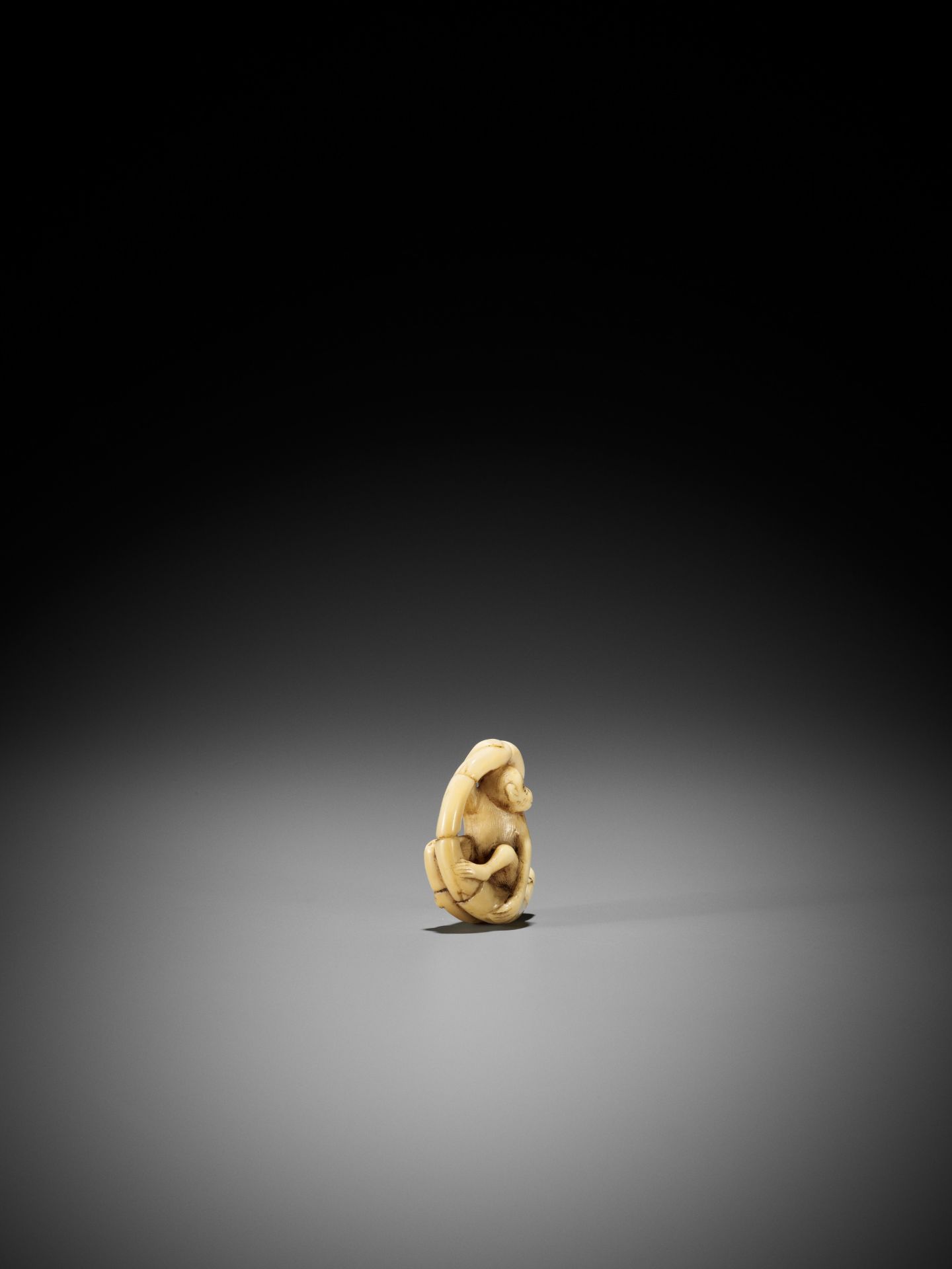 A MARINE IVORY NETSUKE OF A MONKEY SITTING IN A COILED BAMBOO NODE - Image 6 of 9