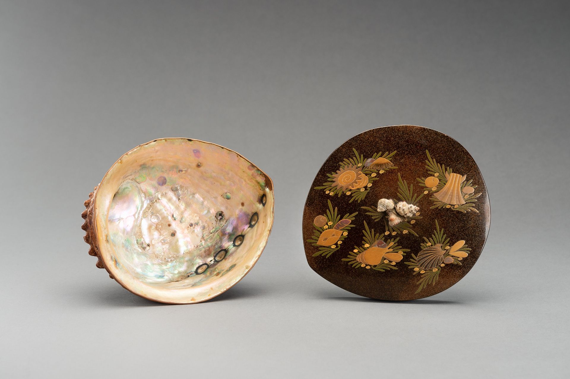 A UNIQUE AWABI SHELL WITH LACQUERED COVER - Image 6 of 14