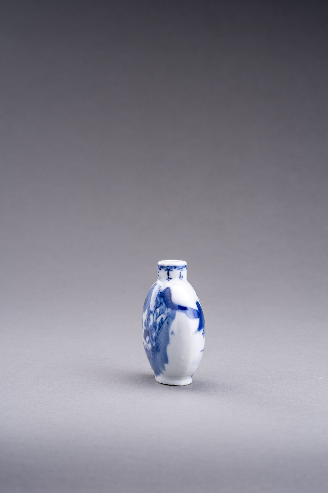 TWO BLUE AND WHITE PORCELAIN SNUFF BOTTLES, QING DYNASTY - Image 9 of 13