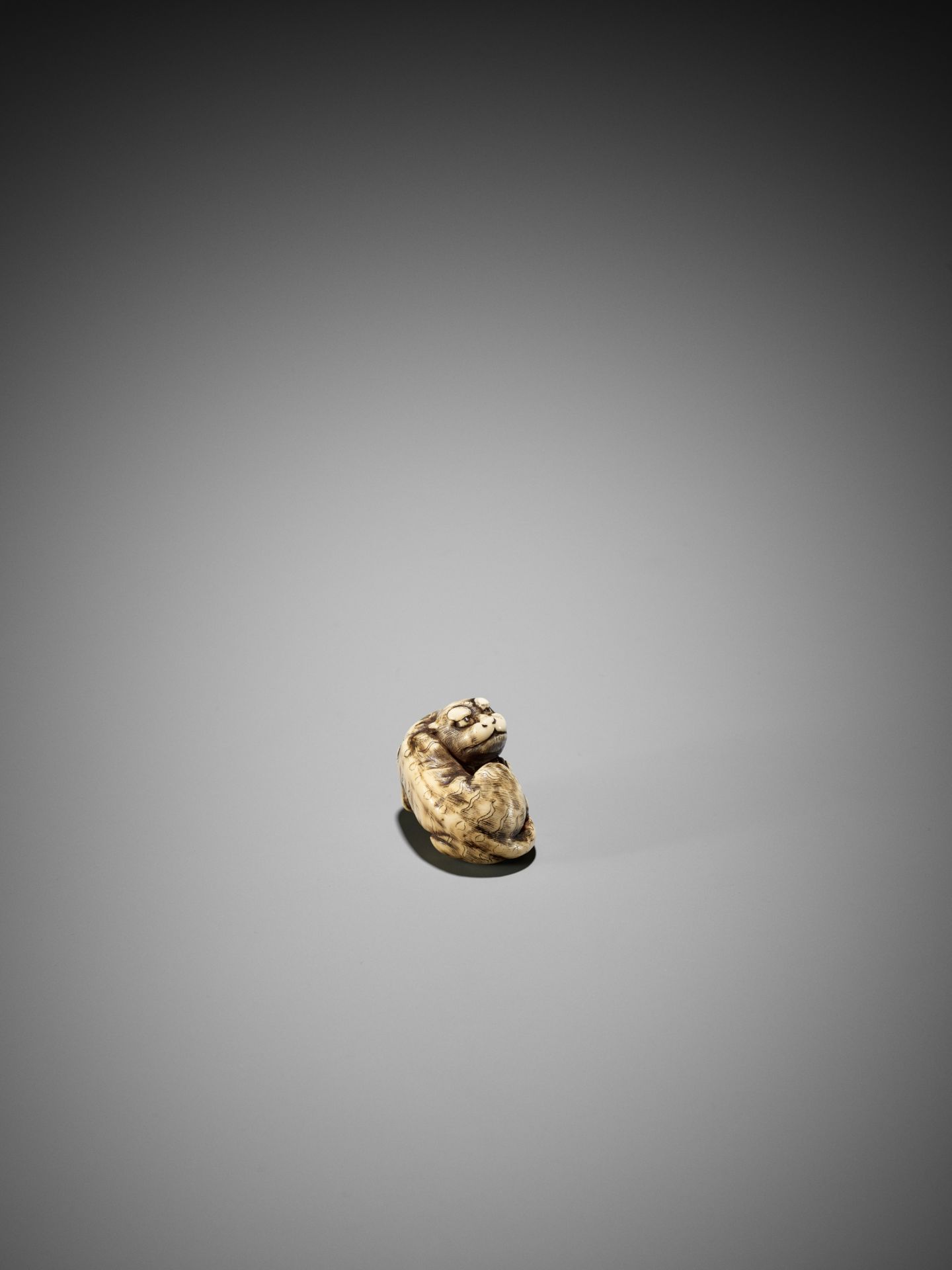 A GOOD KYOTO SCHOOL IVORY NETSUKE OF A TIGER - Image 5 of 15