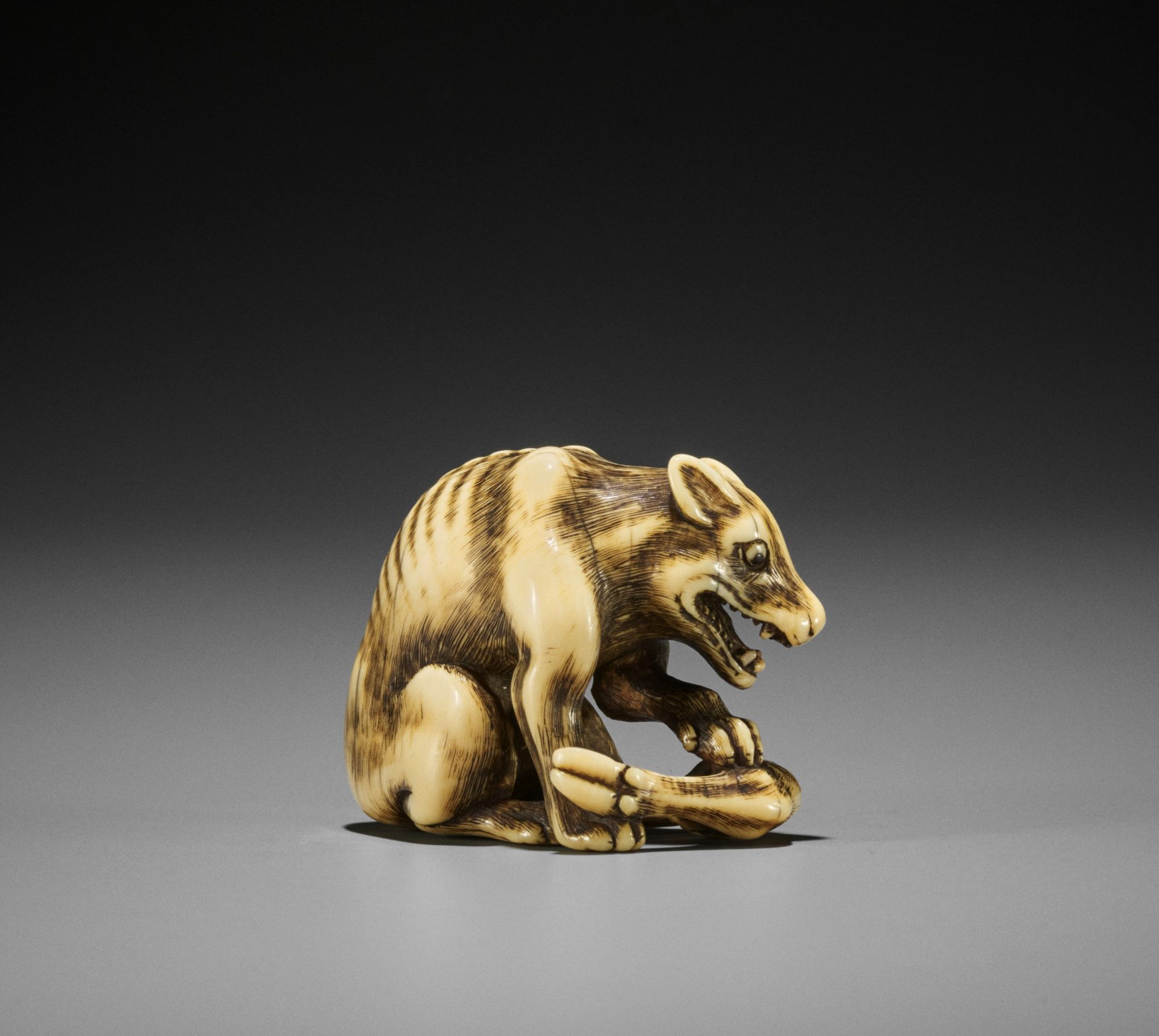 TOMOTADA: A FINE IVORY NETSUKE OF A WOLF WITH HAUNCH OF VENISON - Image 3 of 18