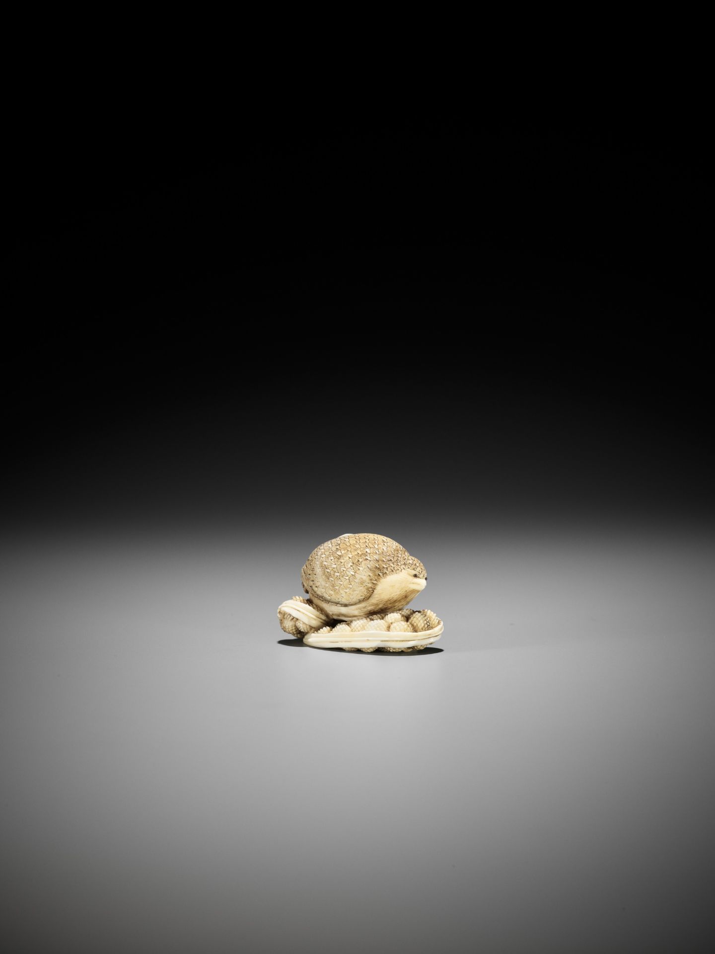 YOSHIKAZU: AN IVORY NETSUKE OF A QUIAL PERCHED ON MILLET - Image 3 of 14