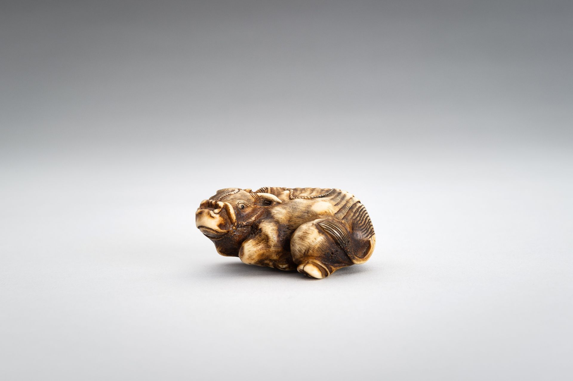 A STAG ANTLER NETSUKE OF RECUMBENT OX - Image 7 of 11