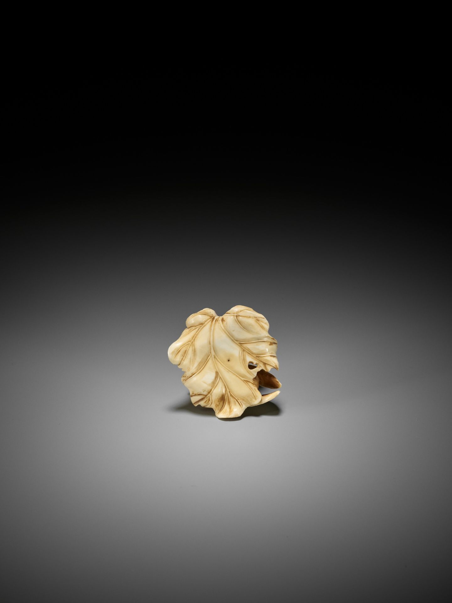 A FINE IVORY NETSUKE OF TWO CICADA HATCHLINGS ON A LEAF - Image 3 of 9