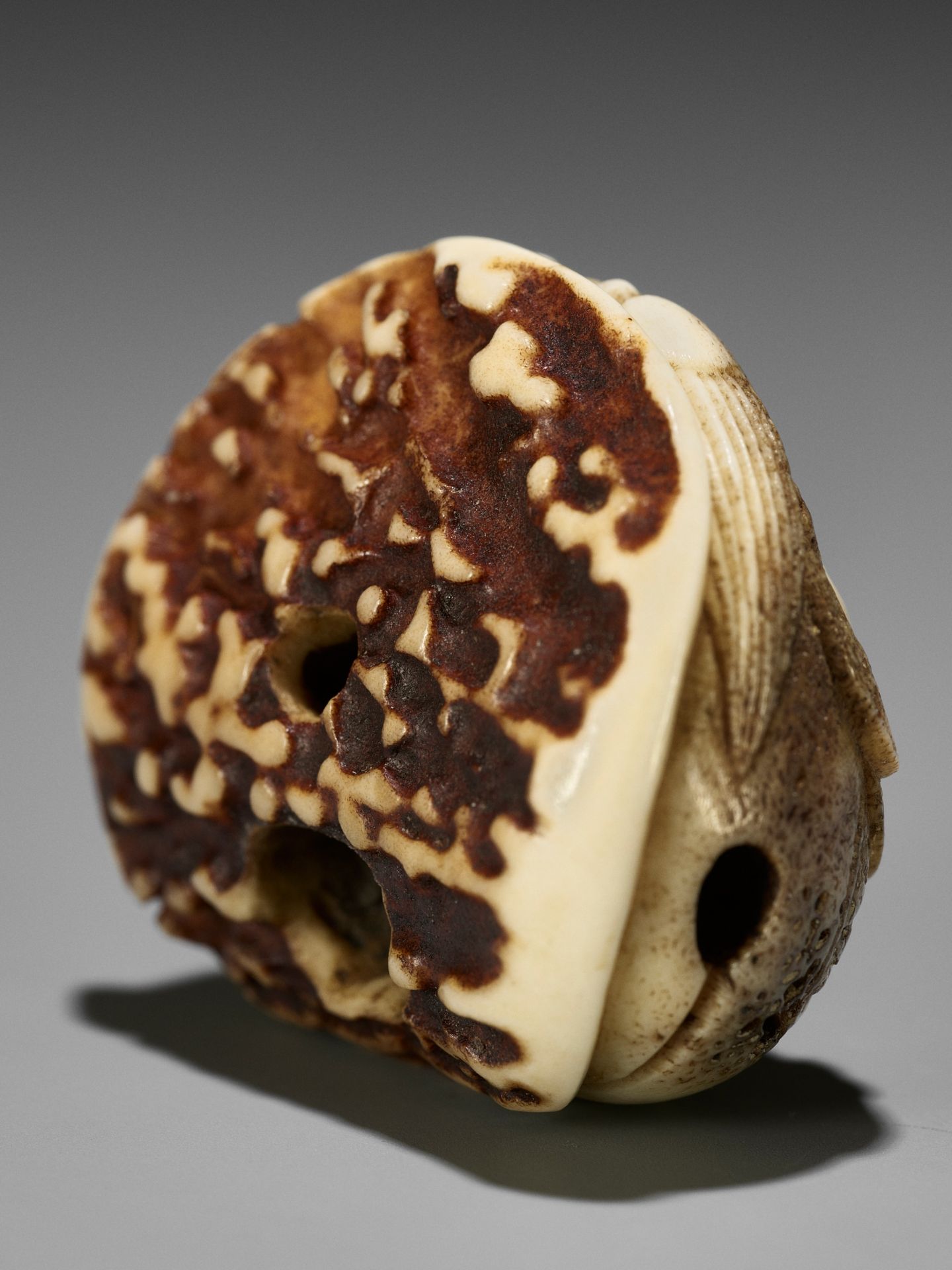 A FINE STAG ANTLER NETSUKE OF A DOUBLE DRAGON-HEADED MOKUGYO - Image 11 of 11