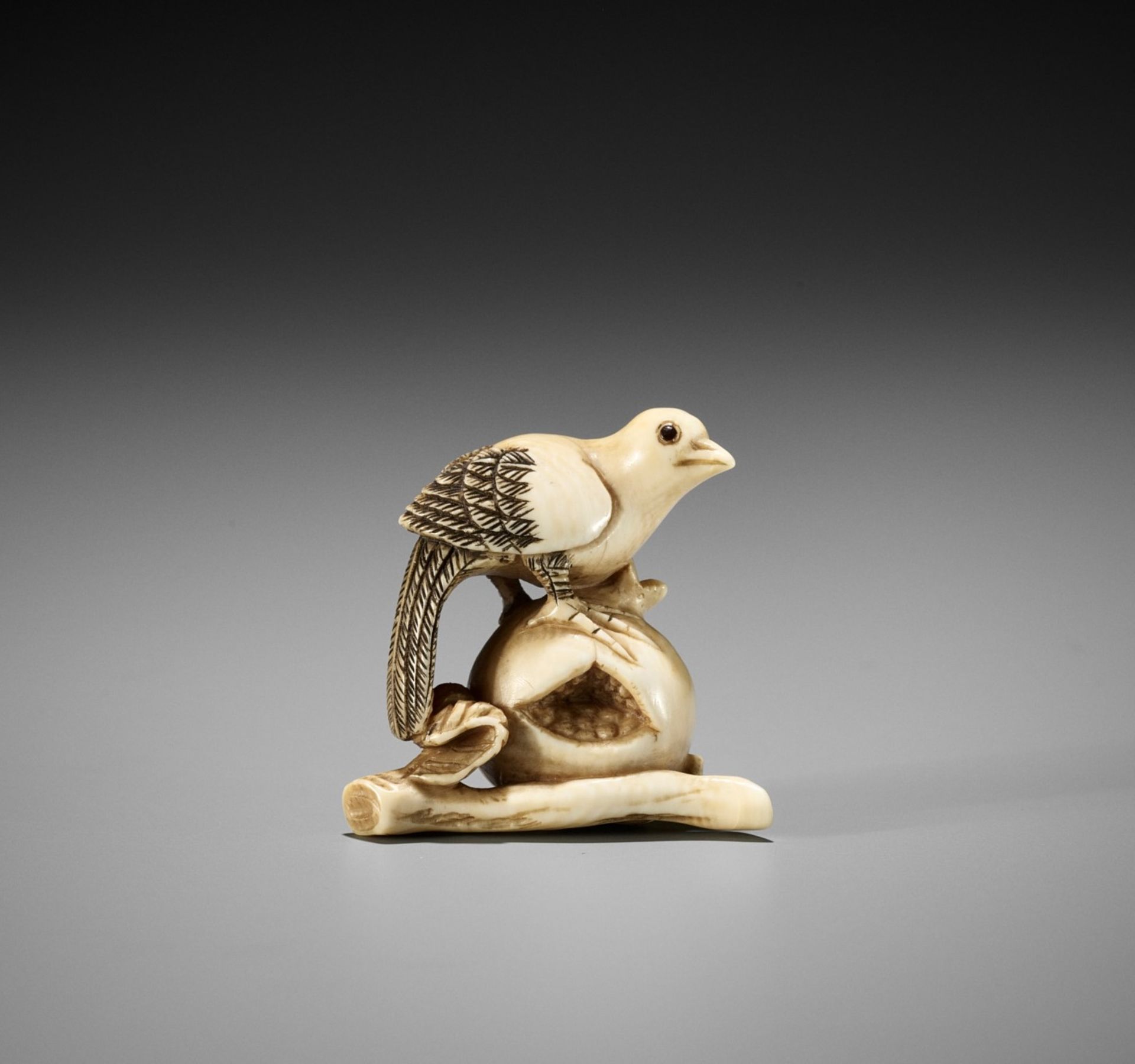 AN IVORY NETSUKE OF A PIGEON PERCHED ON A POMEGRANATE, ATTRIBUTED TO ANRAKU