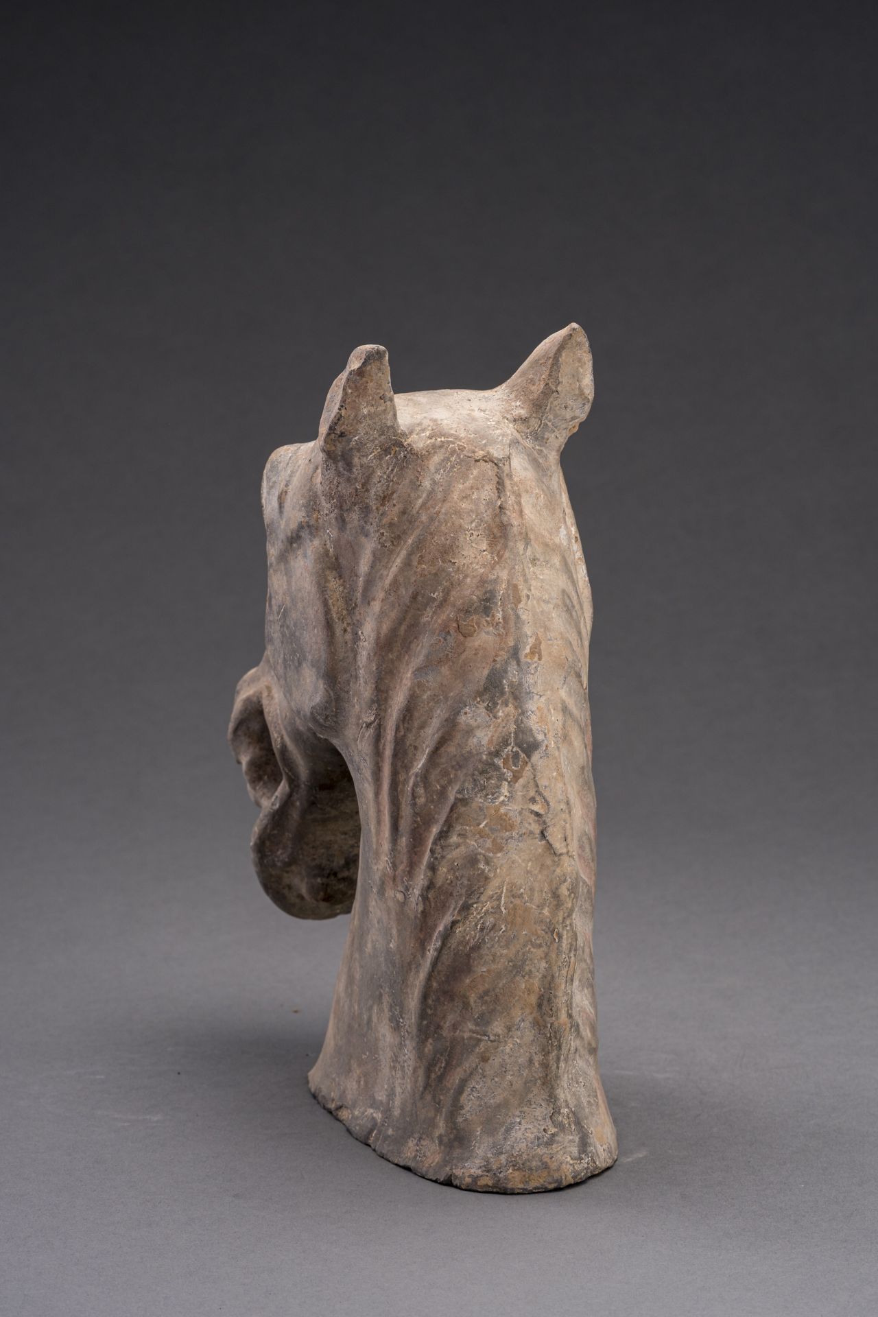 A POTTERY HORSE HEAD, HAN DYNASTY - Image 3 of 6