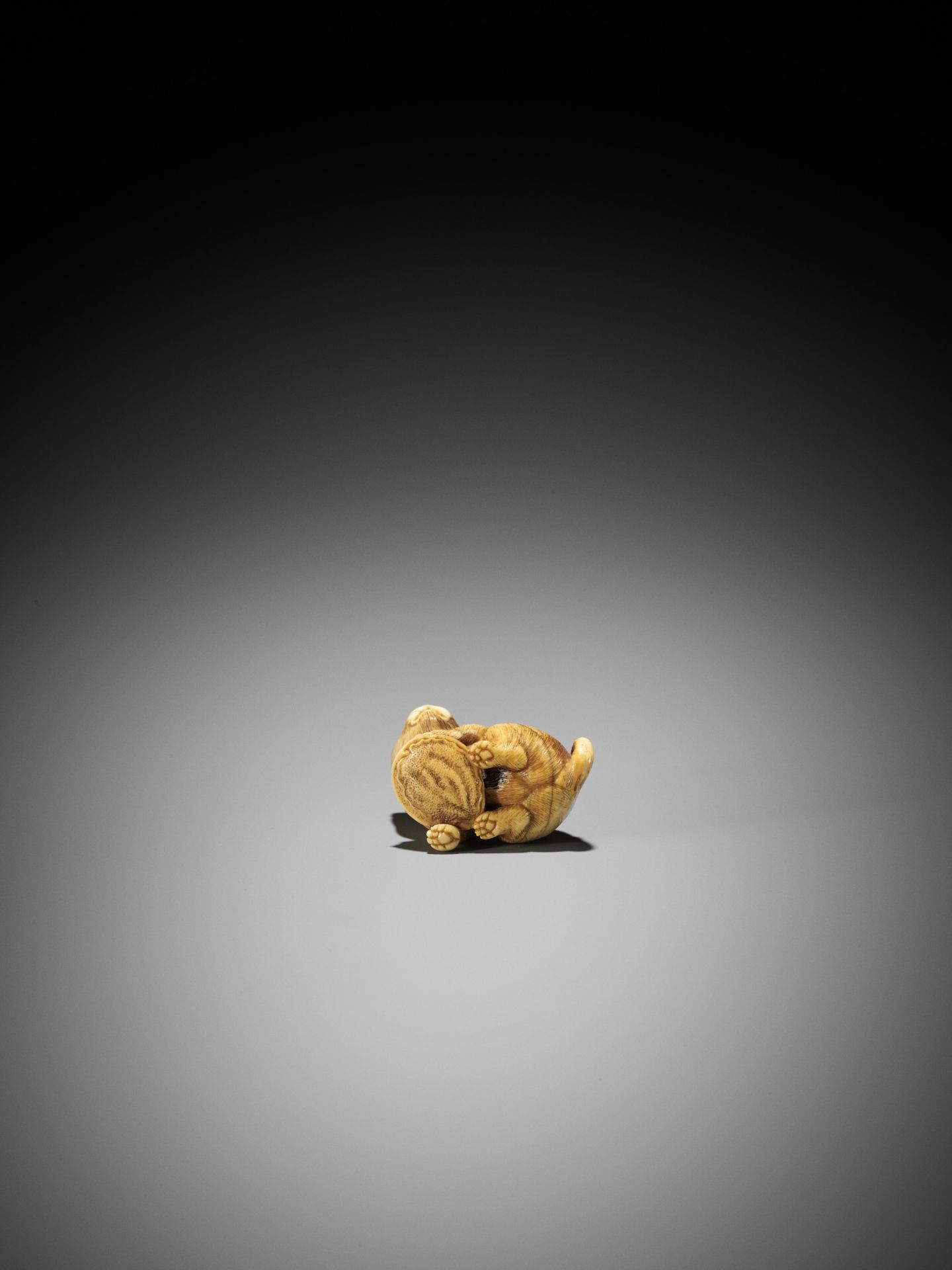 A GOOD KYOTO SCHOOL IVORY NETSUKE OF A PUPPY WITH AWABI - Bild 8 aus 9