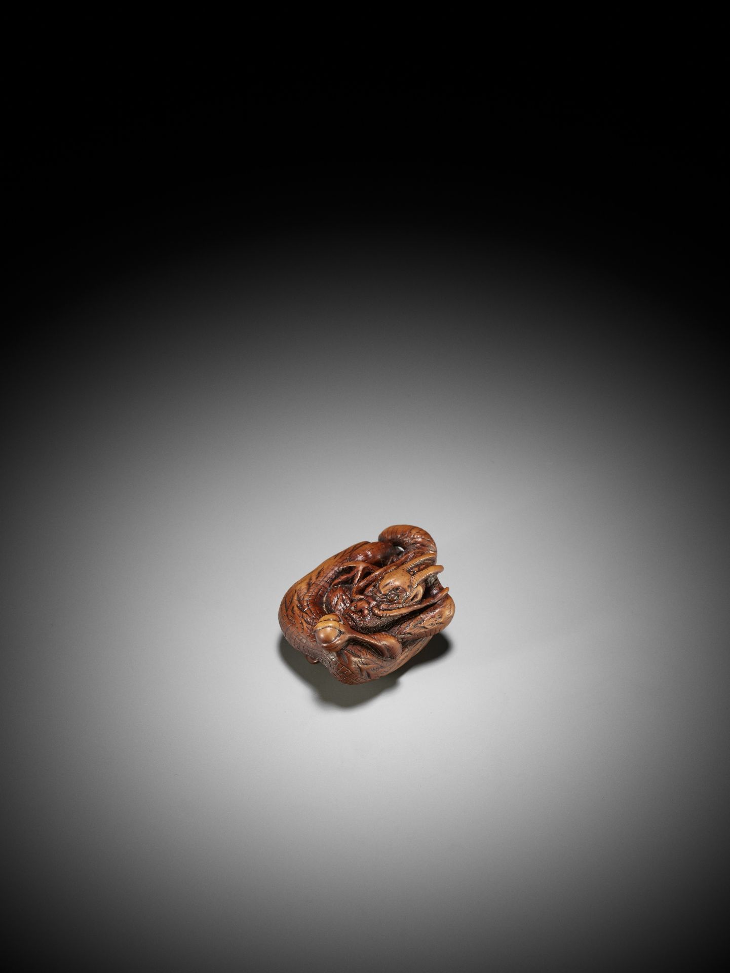 A SUPERB WOOD NETSUKE OF A COILED DRAGON - Image 14 of 14