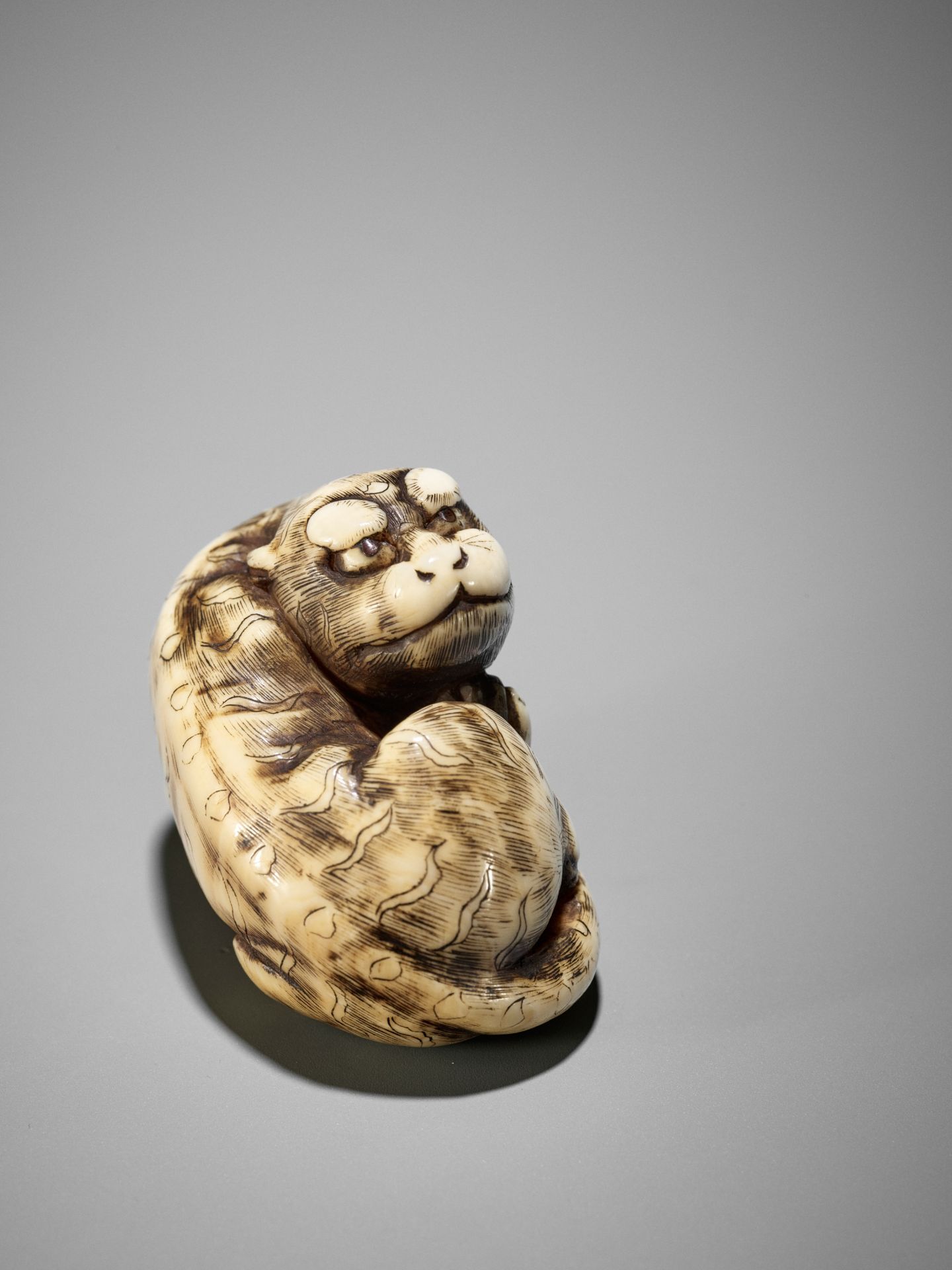 A GOOD KYOTO SCHOOL IVORY NETSUKE OF A TIGER - Image 14 of 15