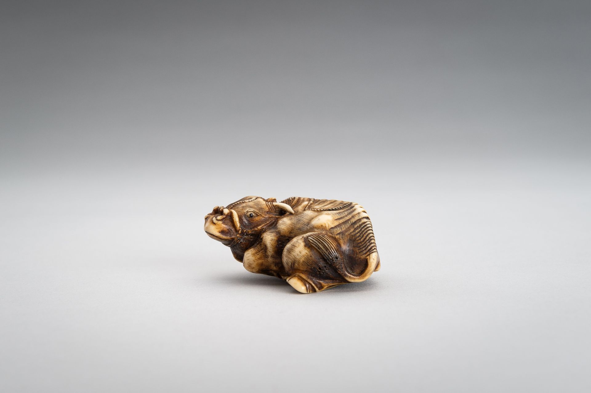 A STAG ANTLER NETSUKE OF RECUMBENT OX - Image 6 of 11