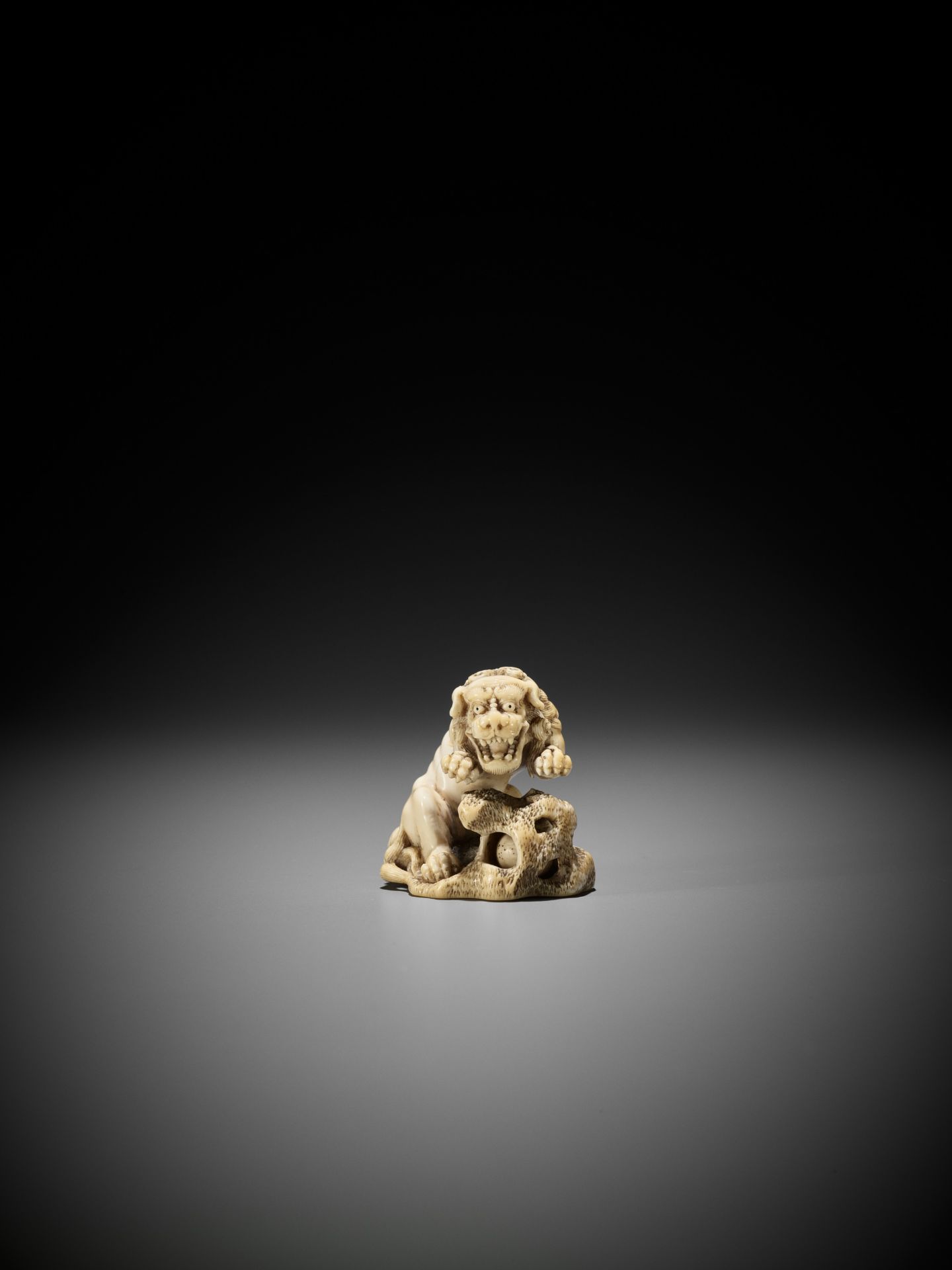 A SUPERB IVORY NETSUKE OF A ROARING SHISHI WITH ROCK AND LOOSE BALL - Image 3 of 14