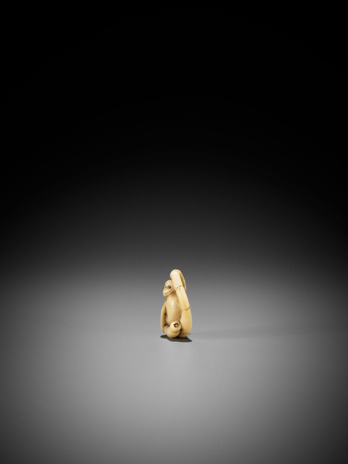 A MARINE IVORY NETSUKE OF A MONKEY SITTING IN A COILED BAMBOO NODE - Image 4 of 9