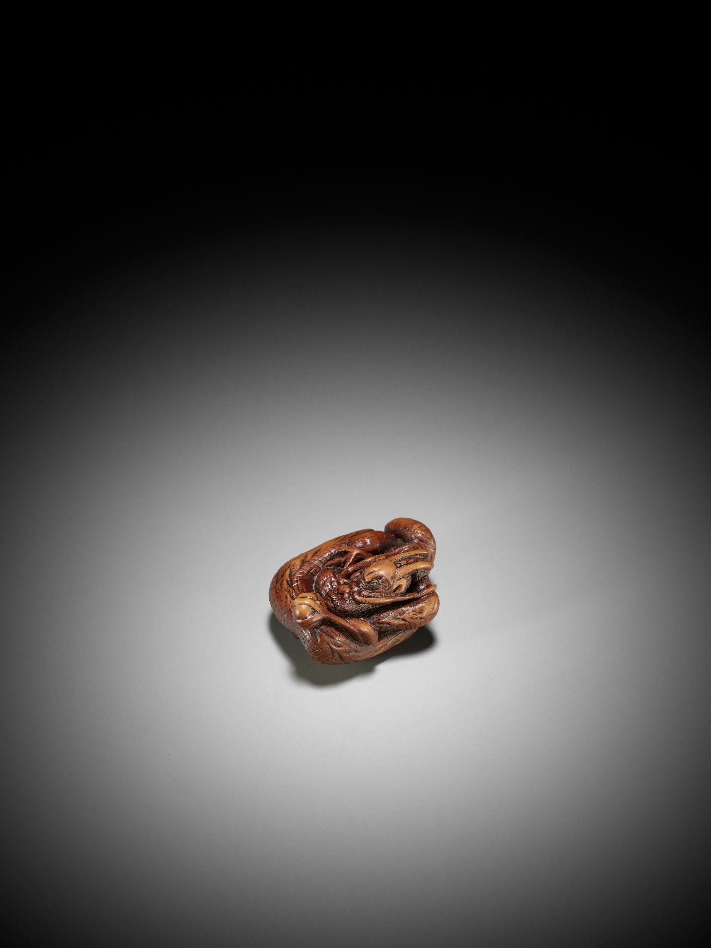 A SUPERB WOOD NETSUKE OF A COILED DRAGON - Image 2 of 14