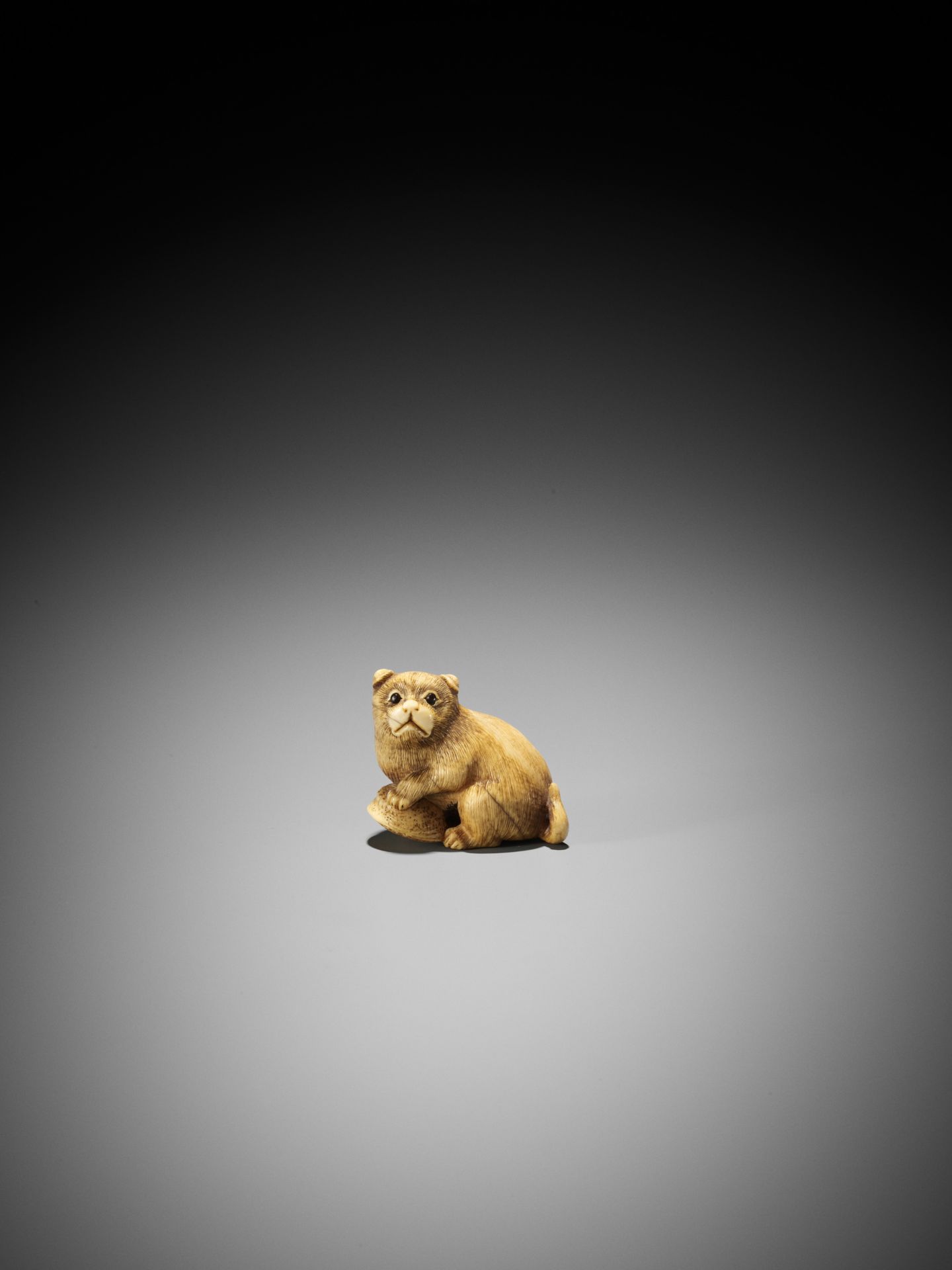 A GOOD KYOTO SCHOOL IVORY NETSUKE OF A PUPPY WITH AWABI - Image 2 of 9