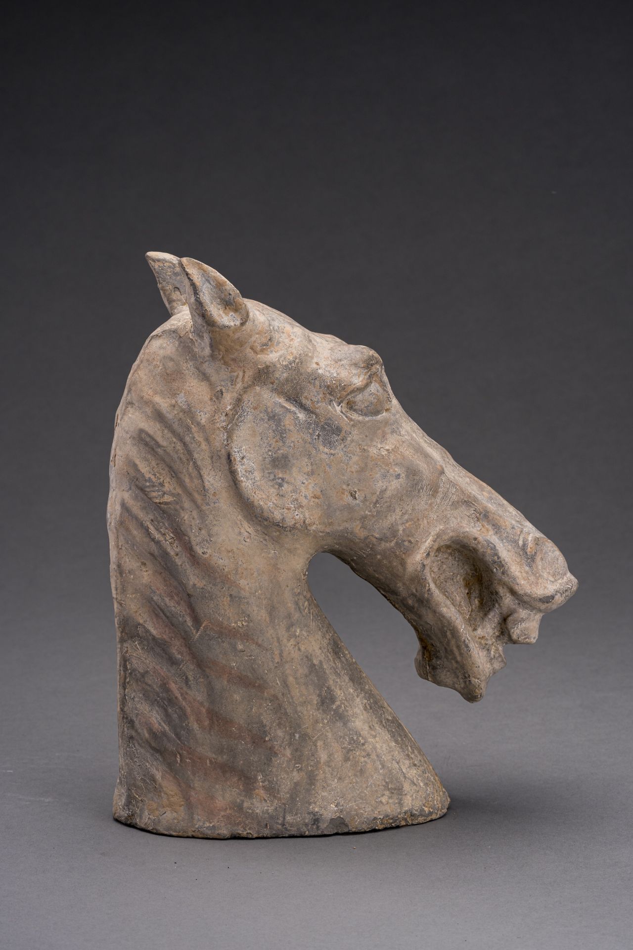 A POTTERY HORSE HEAD, HAN DYNASTY - Image 5 of 6