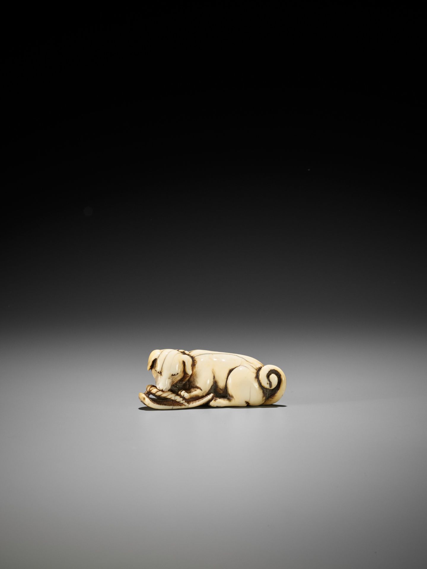 A SUPERB IVORY NETSUKE OF A DOG WITH SANDAL - Bild 3 aus 12