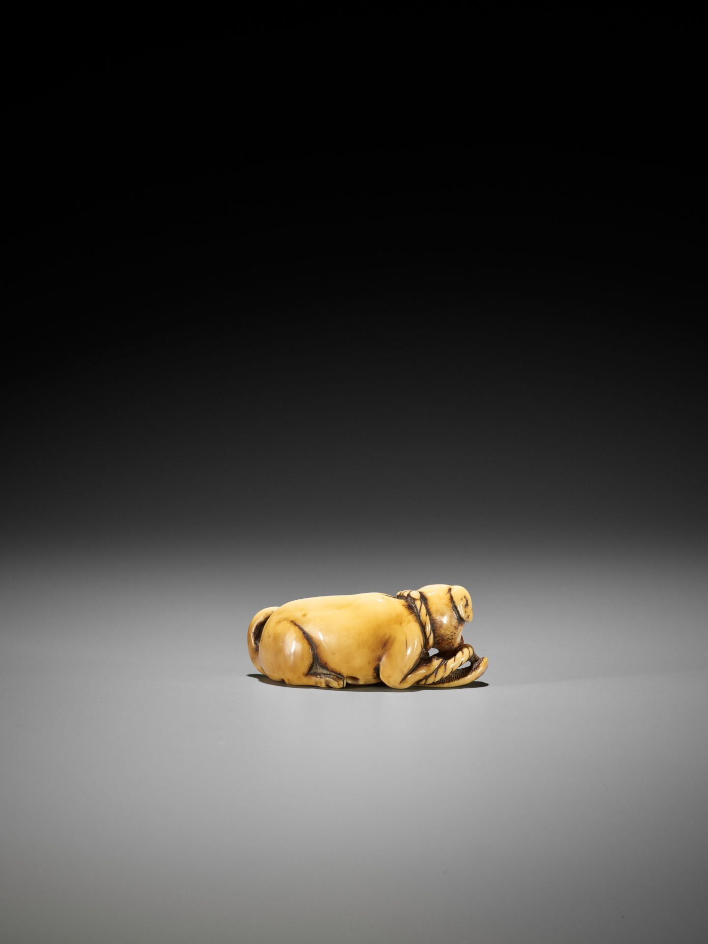 A SUPERB IVORY NETSUKE OF A DOG WITH SANDAL - Bild 2 aus 12